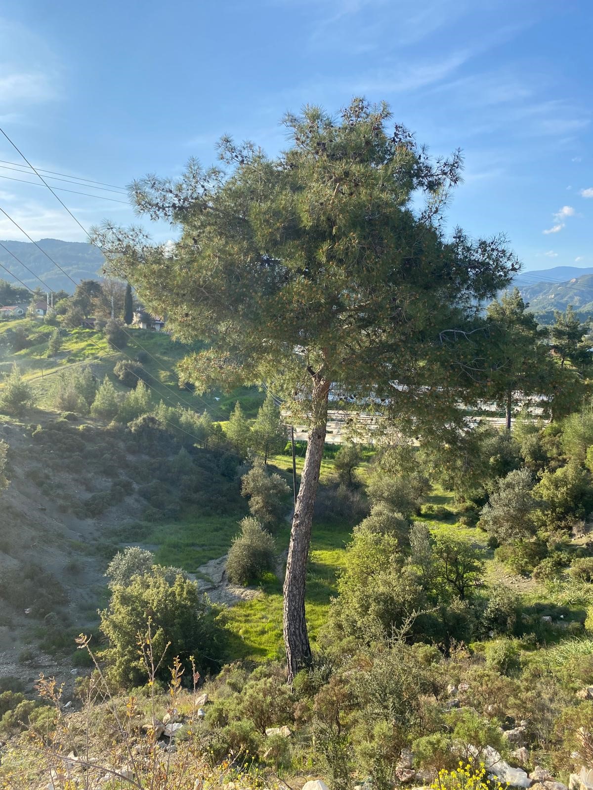 Kaş Uğrar'da Ev & Sera İmkanlı 33.191m² Satılık Arazi