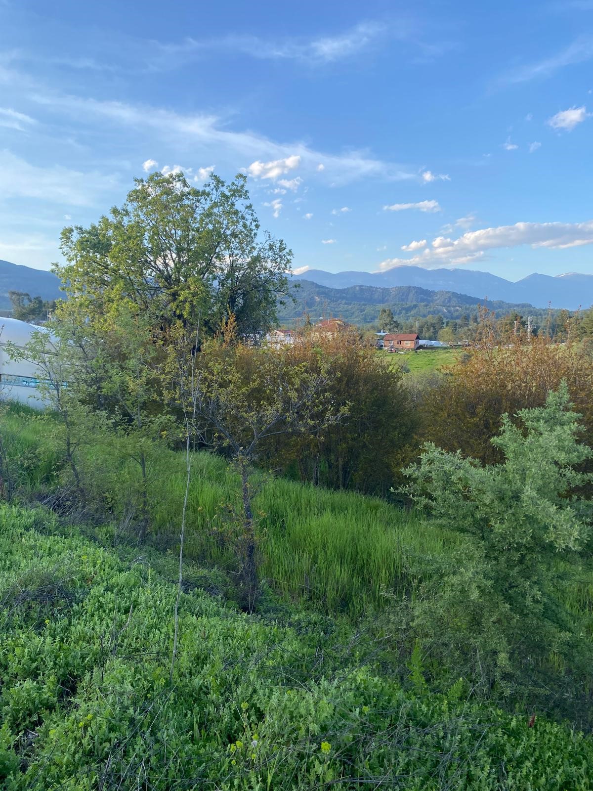 Kaş Uğrar'da Ev & Sera İmkanlı 33.191m² Satılık Arazi