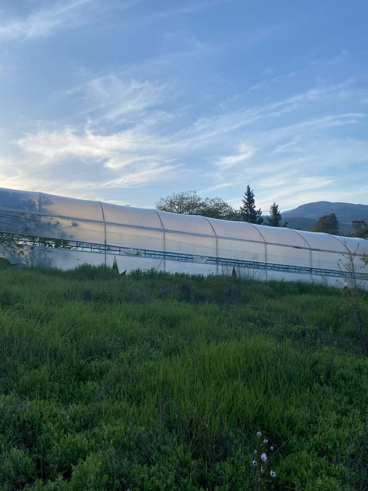 Kaş Uğrar'da Ev & Sera İmkanlı 33.191m² Satılık Arazi