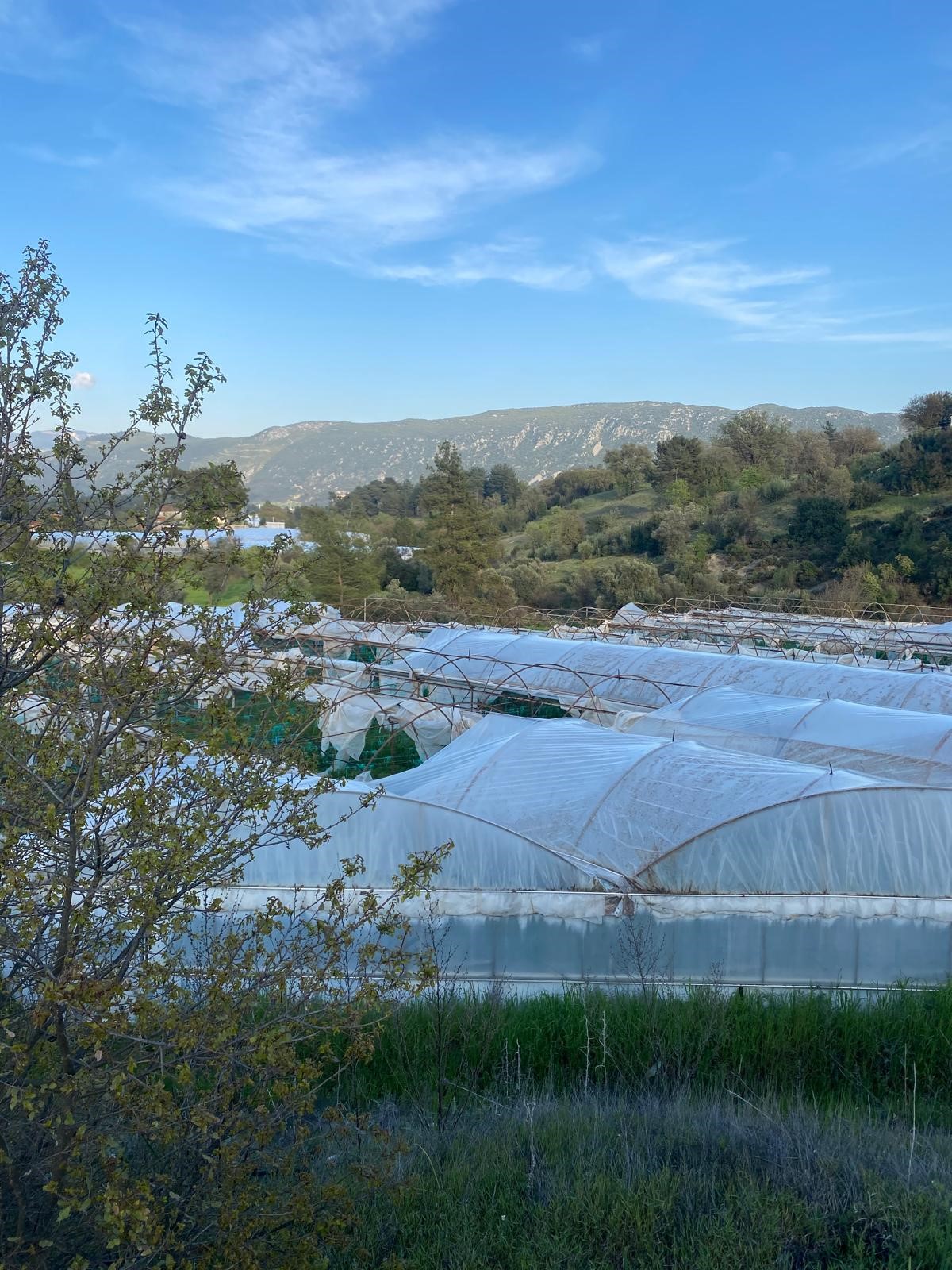 Kaş Uğrar'da Ev & Sera İmkanlı 33.191m² Satılık Arazi