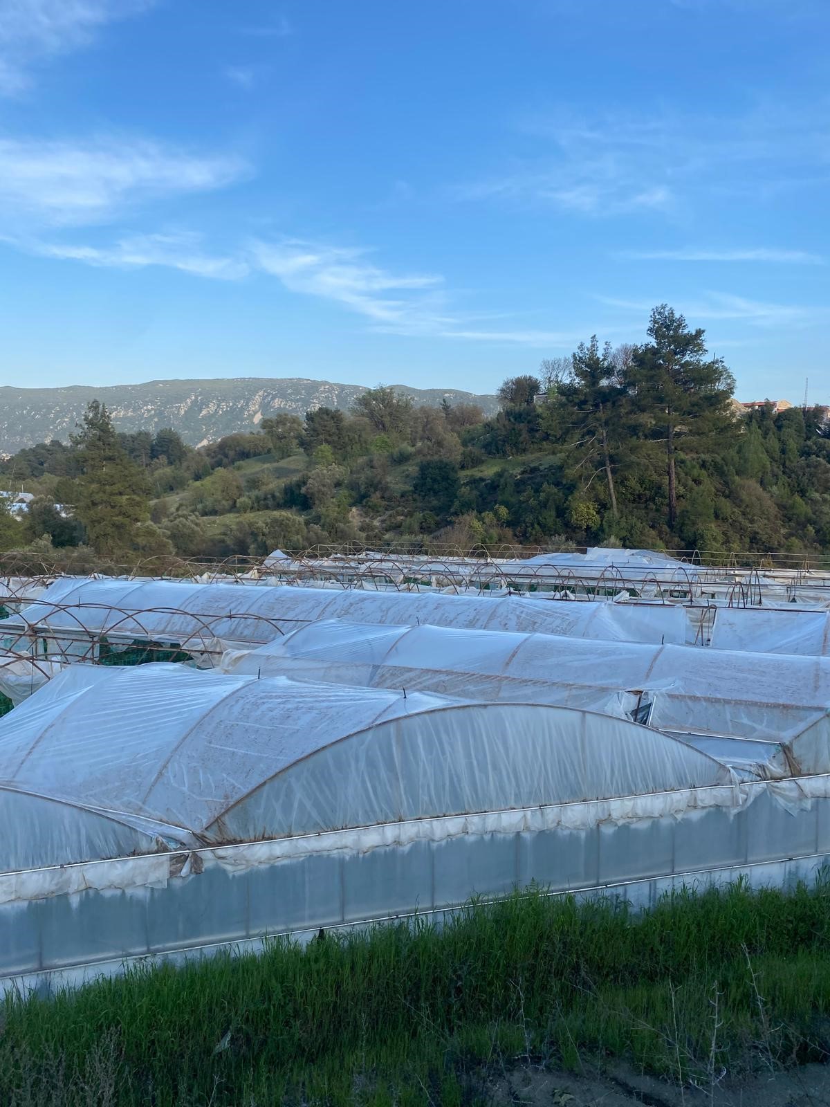 Kaş Uğrar'da Ev & Sera İmkanlı 33.191m² Satılık Arazi