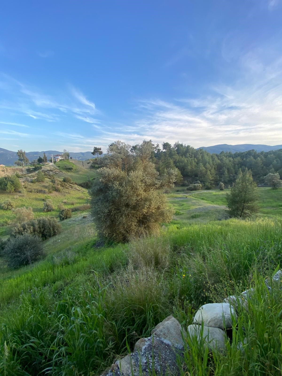 Kaş Uğrar'da Ev & Sera İmkanlı 33.191m² Satılık Arazi