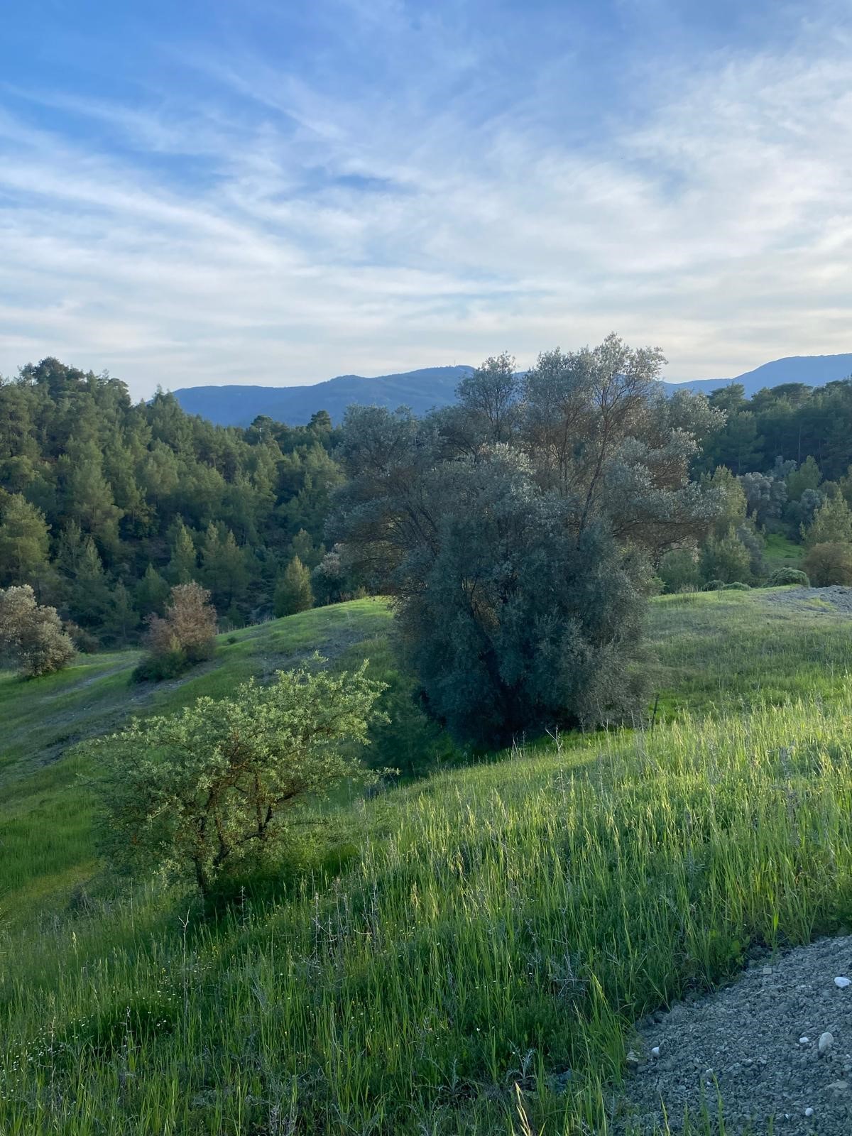 Kaş Uğrar'da Ev & Sera İmkanlı 33.191m² Satılık Arazi