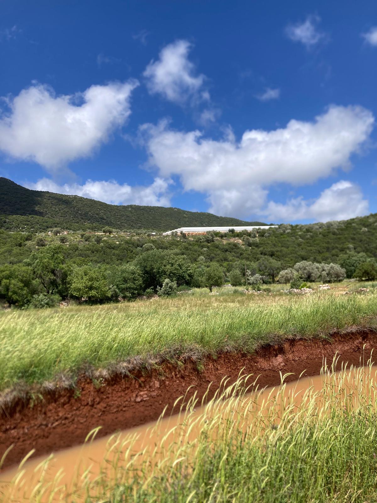 Kekova ya yakın yatırım için ideal tarla