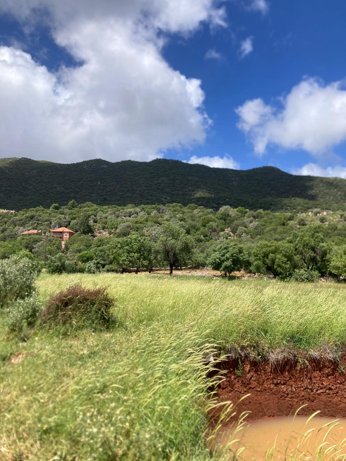 Kekova ya yakın yatırım için ideal tarla