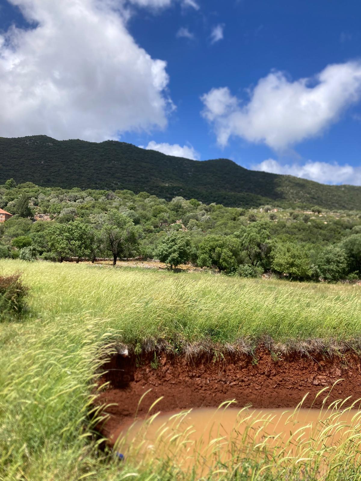 Kekova ya yakın yatırım için ideal tarla