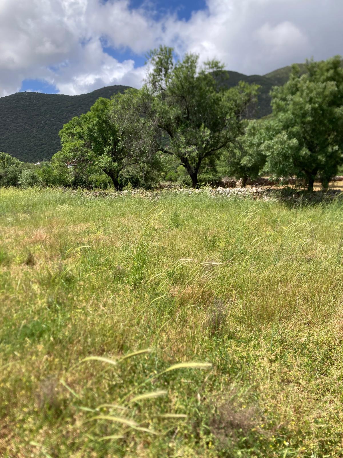 Kekova ya yakın yatırım için ideal tarla