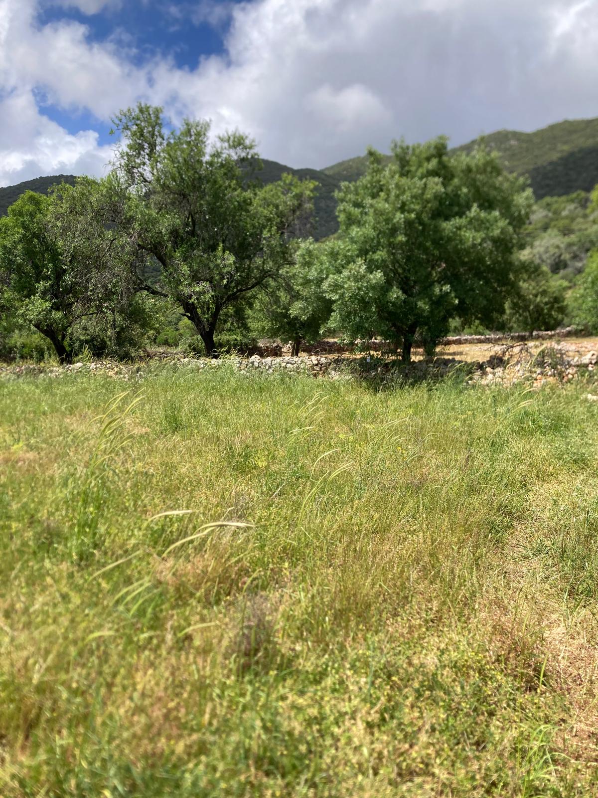 Kekova ya yakın yatırım için ideal tarla