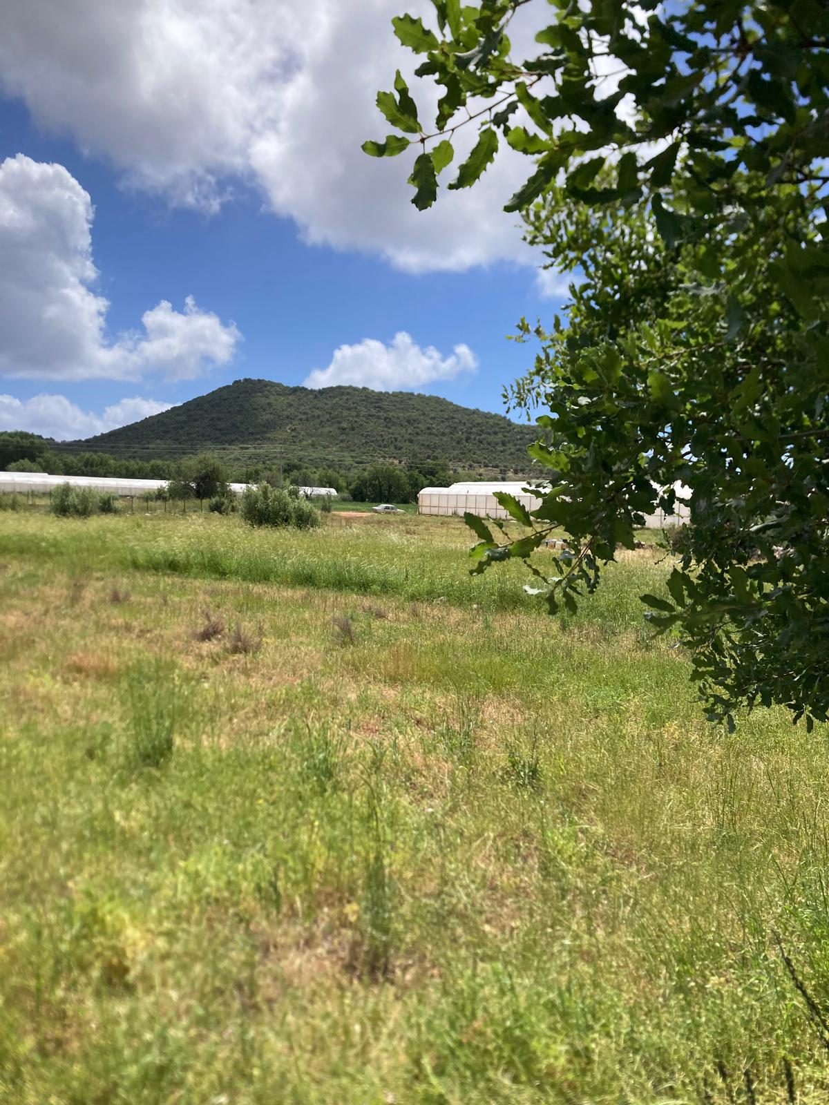 Kekova ya yakın yatırım için ideal tarla