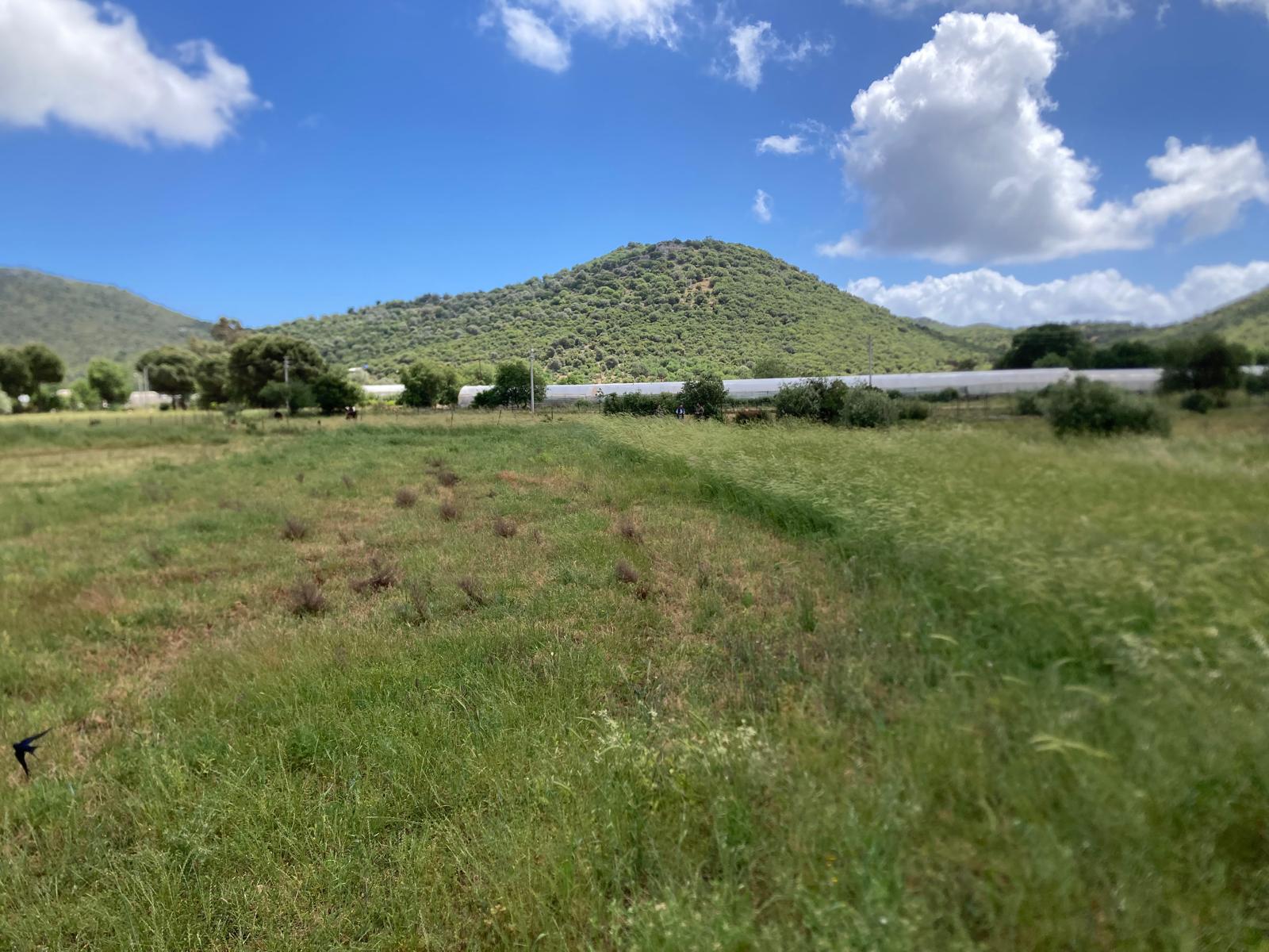 Kekova ya yakın yatırım için ideal tarla