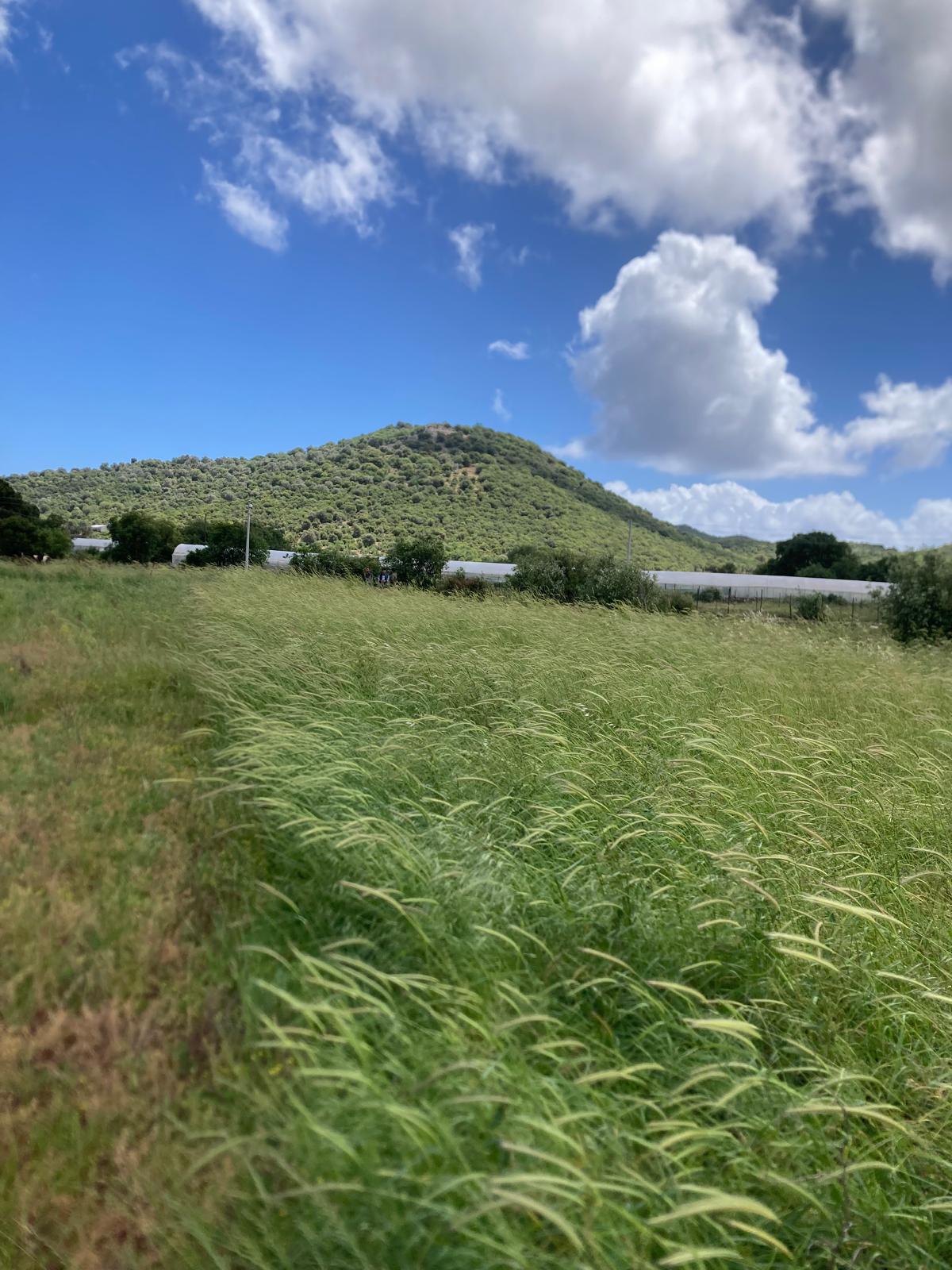 Kekova ya yakın yatırım için ideal tarla