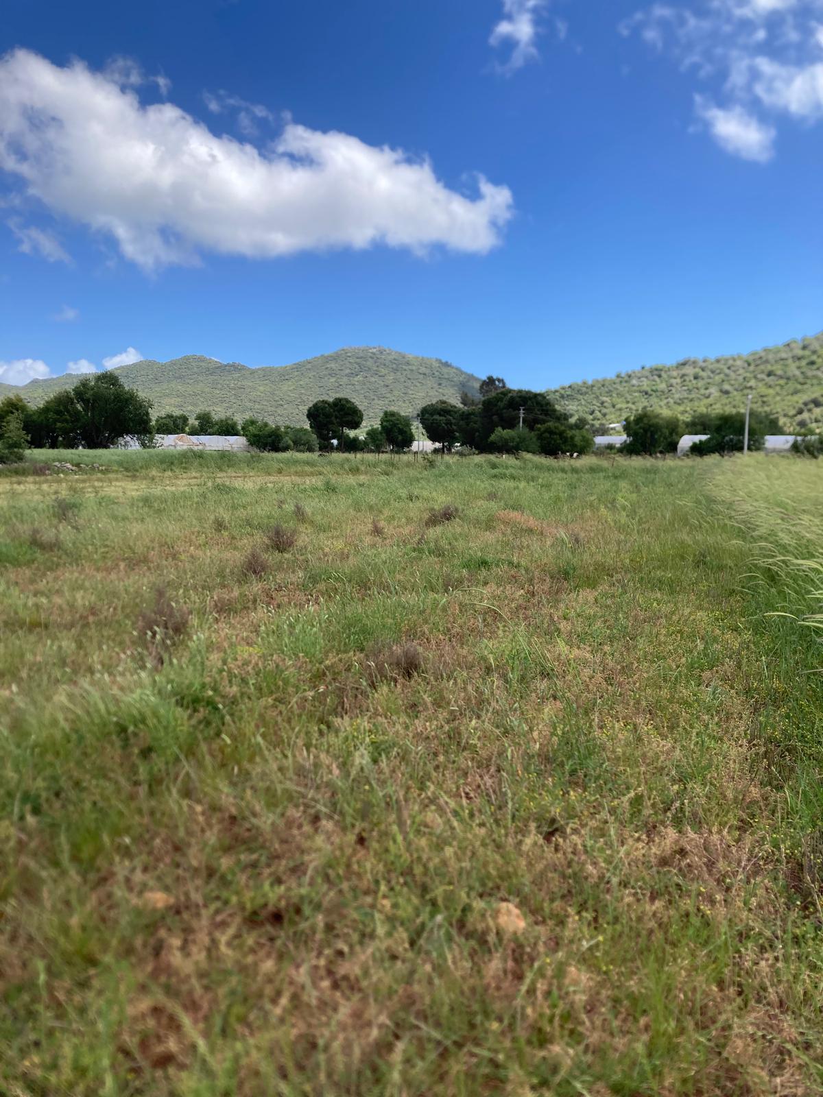 Kekova ya yakın yatırım için ideal tarla