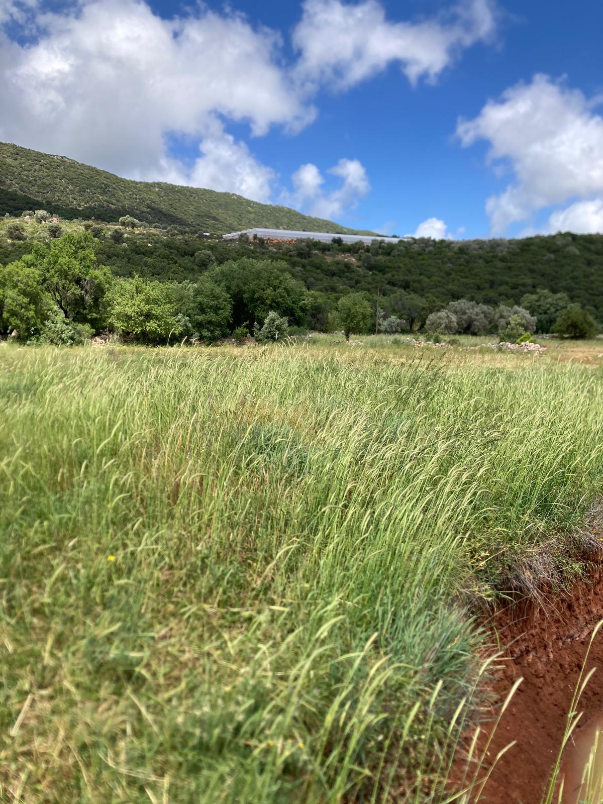 Kekova ya yakın yatırım için ideal tarla