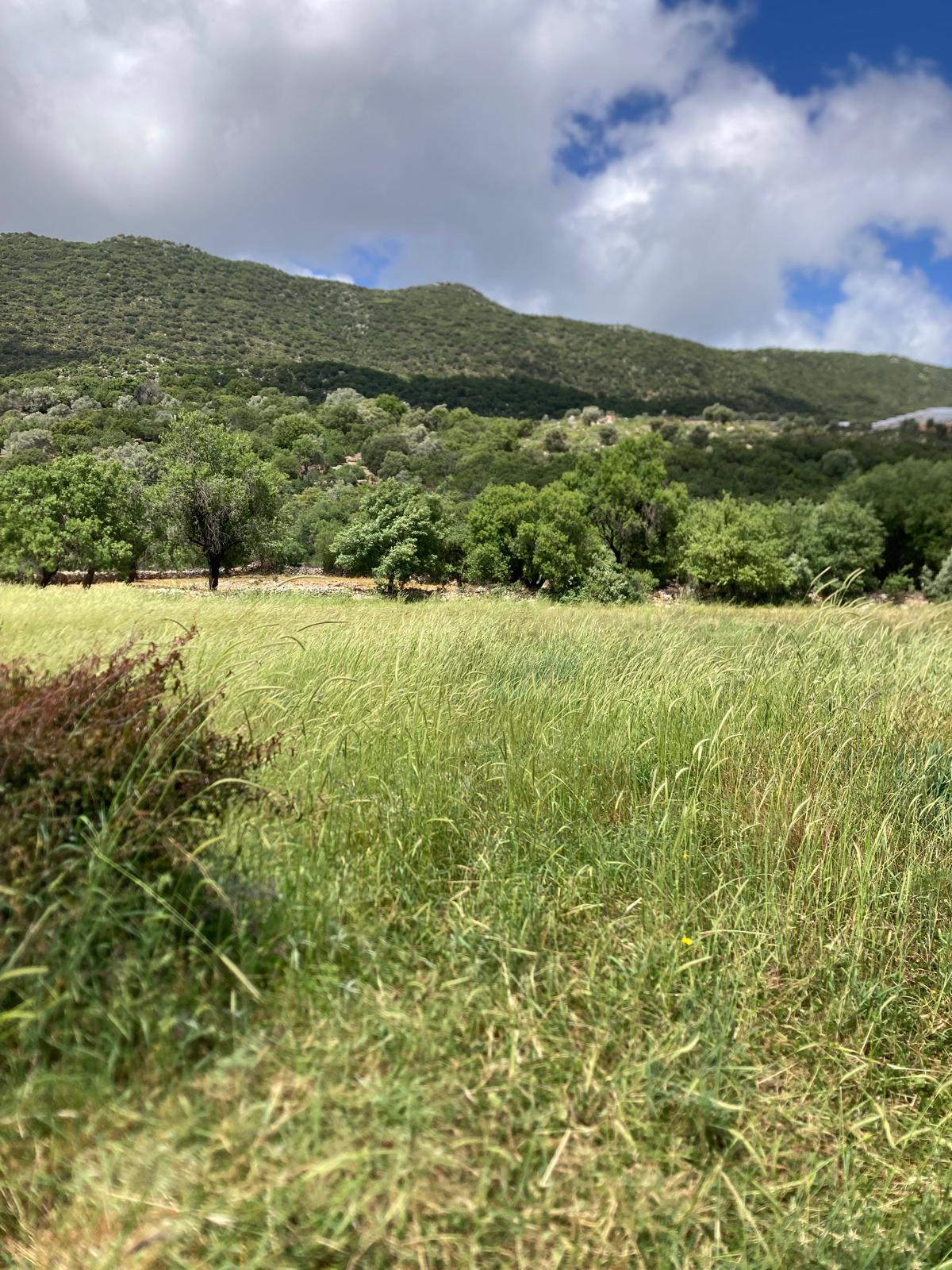 Kekova ya yakın yatırım için ideal tarla