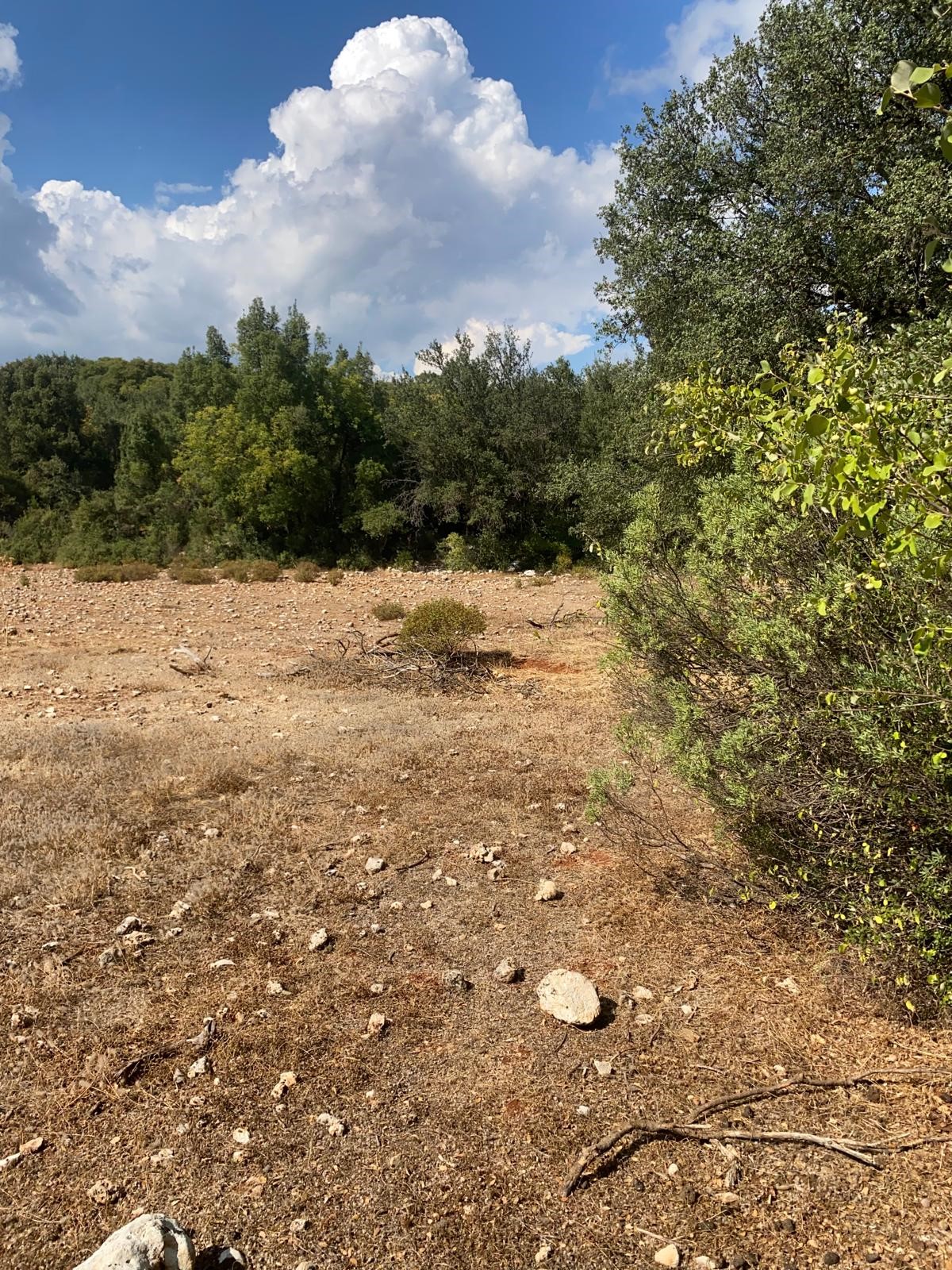 Kaş Pınarbaşı mah. uygun fiyatlı tarla