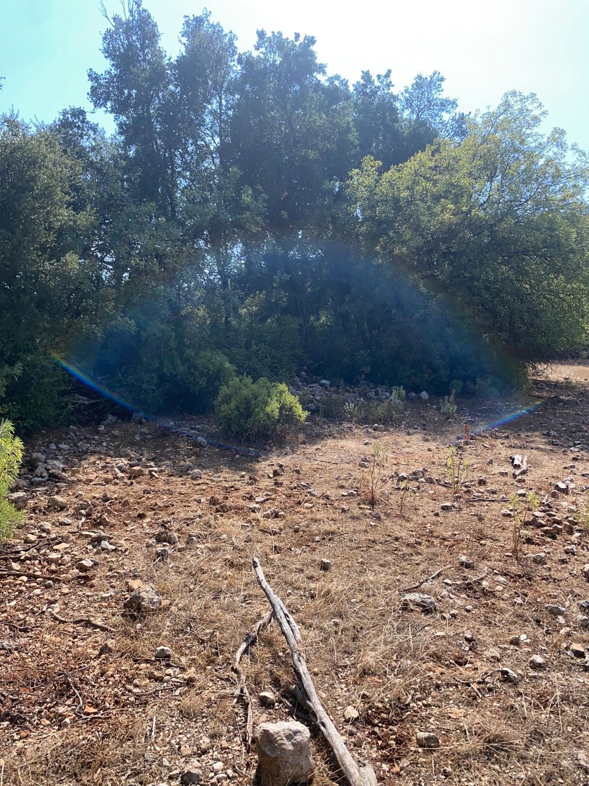 Kaş Pınarbaşı mah. uygun fiyatlı tarla