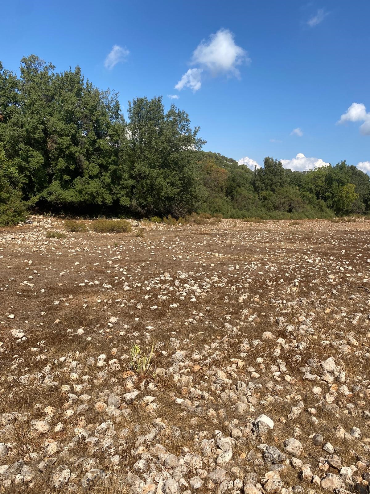 Kaş Pınarbaşı mah. uygun fiyatlı tarla