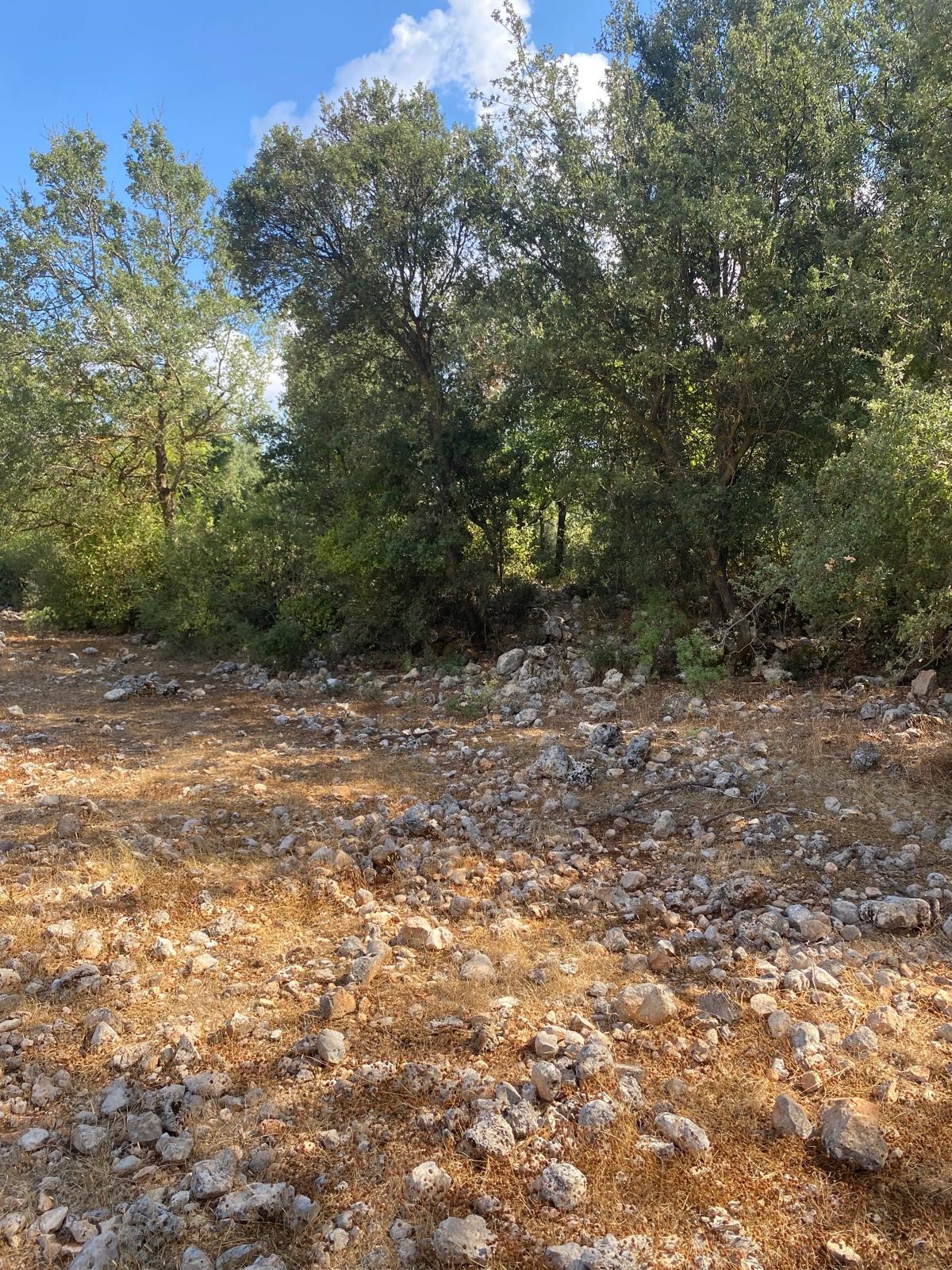Kaş Pınarbaşı mah. uygun fiyatlı tarla