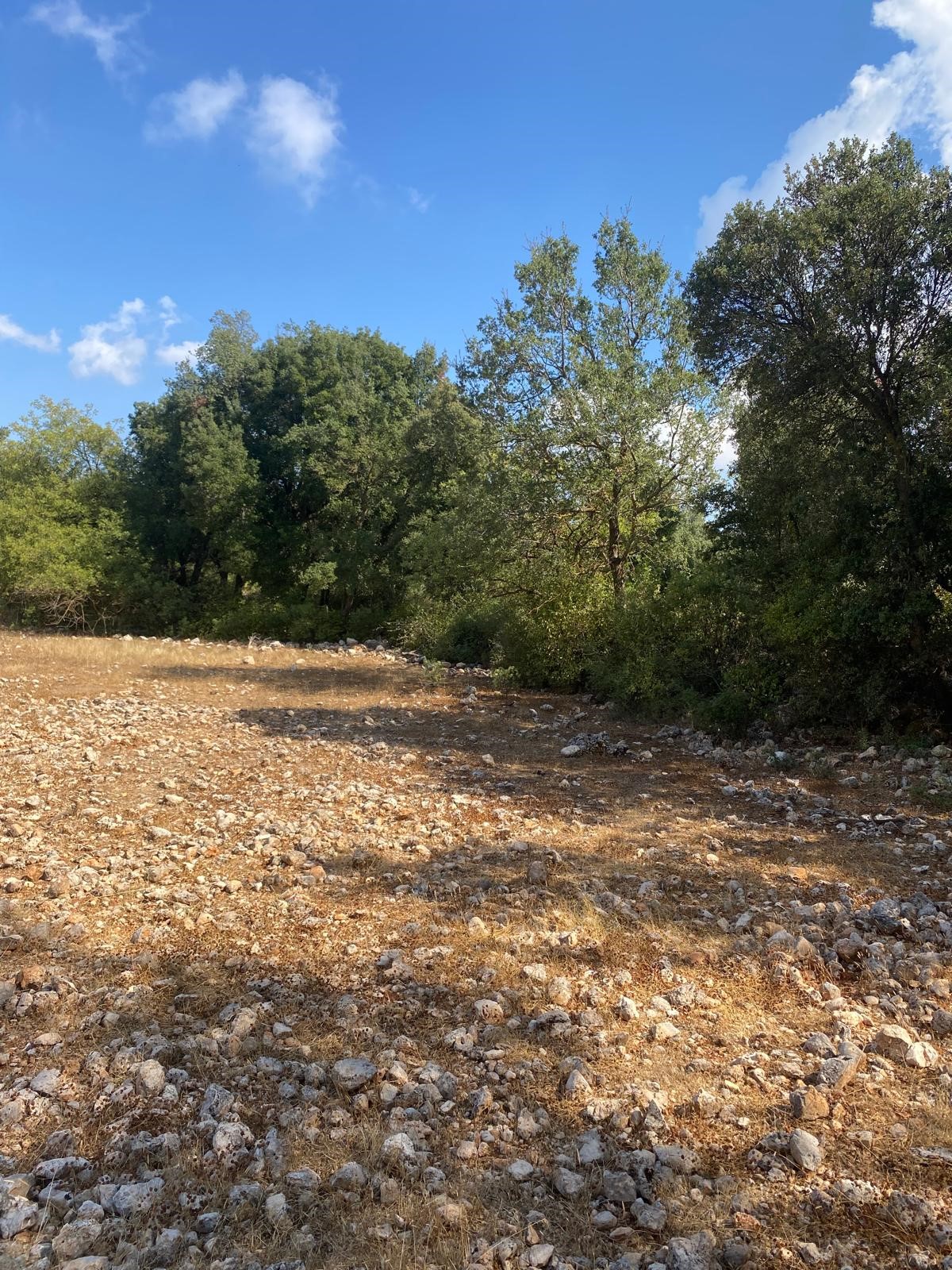 Kaş Pınarbaşı mah. uygun fiyatlı tarla
