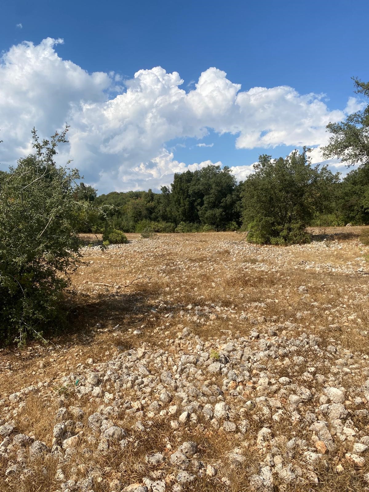 Kaş Pınarbaşı mah. uygun fiyatlı tarla