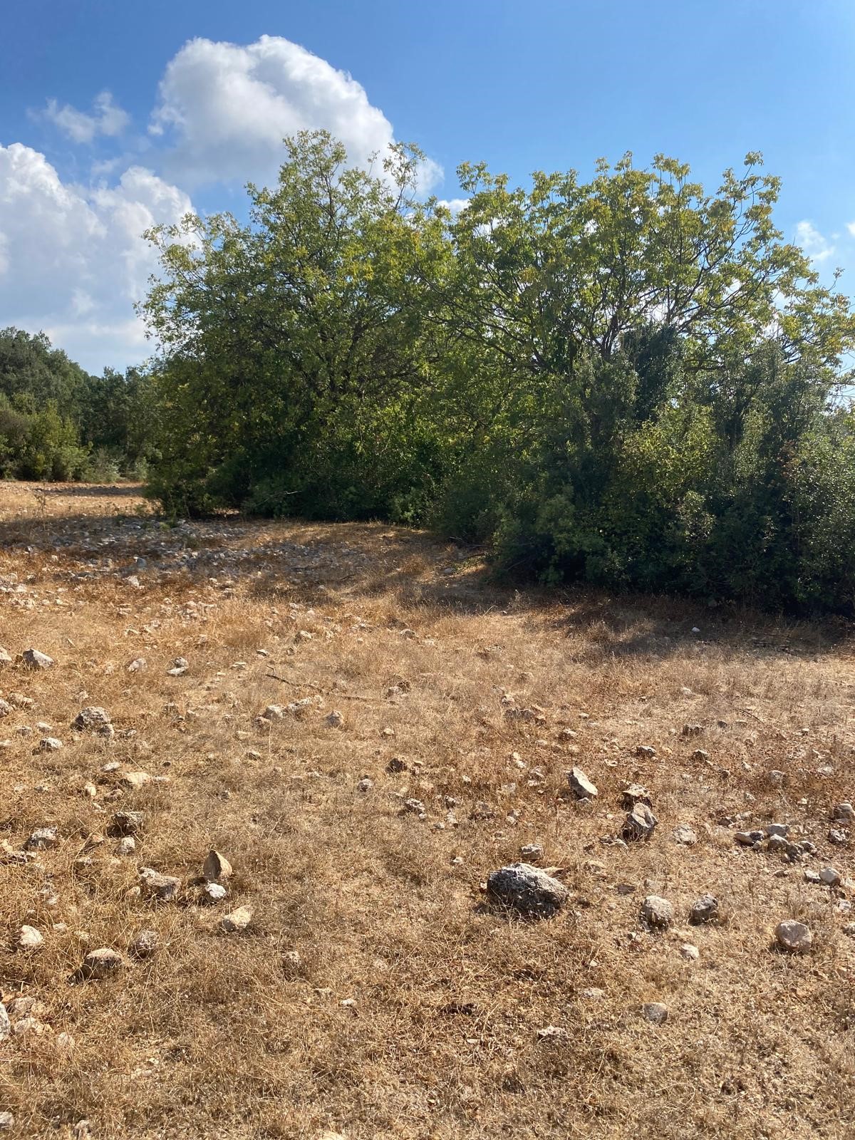 Kaş Pınarbaşı mah. uygun fiyatlı tarla