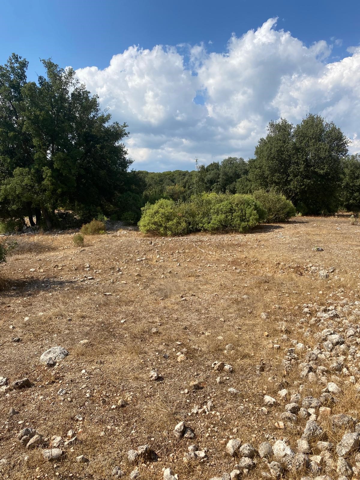 Kaş Pınarbaşı mah. uygun fiyatlı tarla