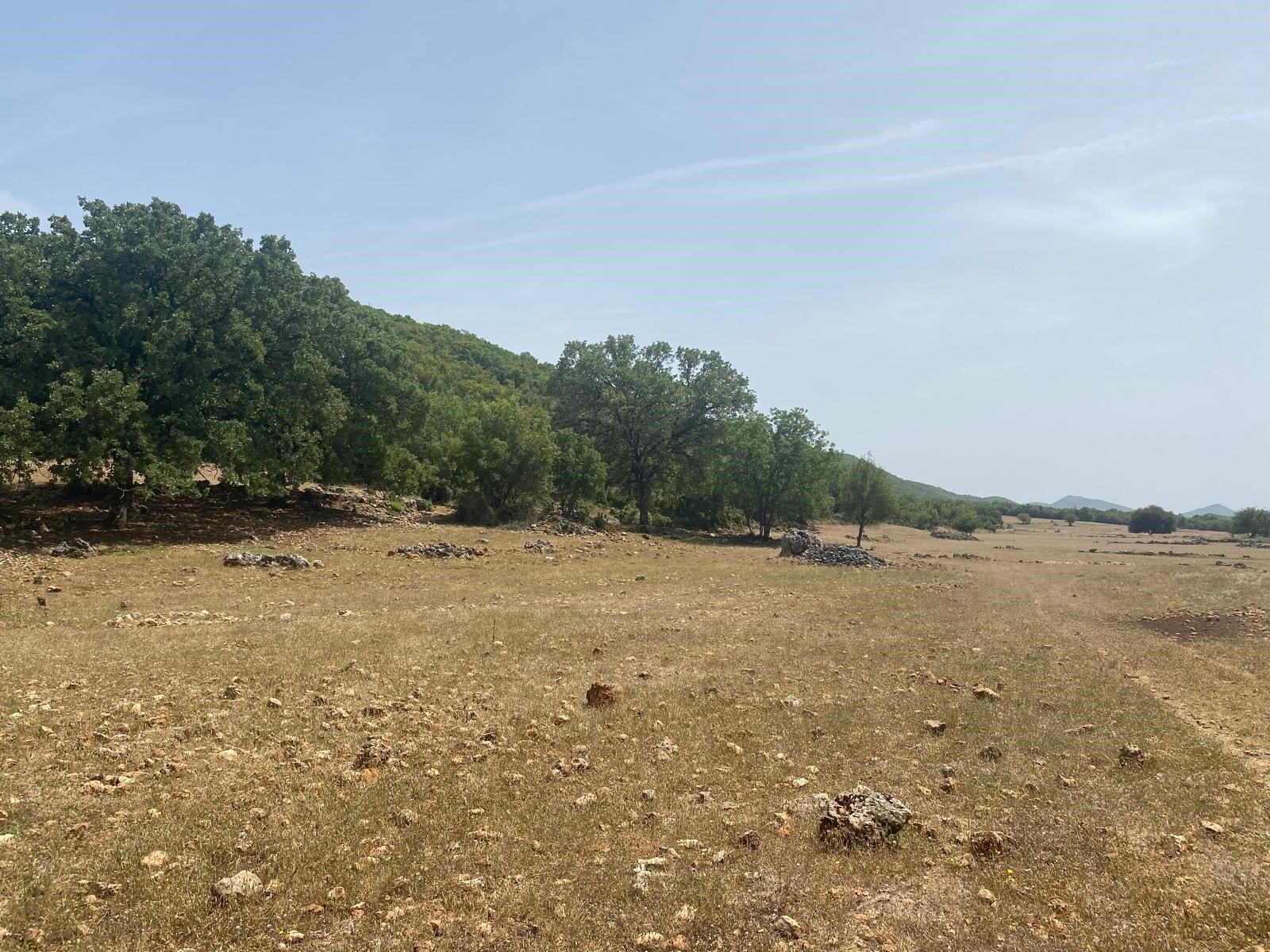 Gelişen bölgede yatırımlık tarla