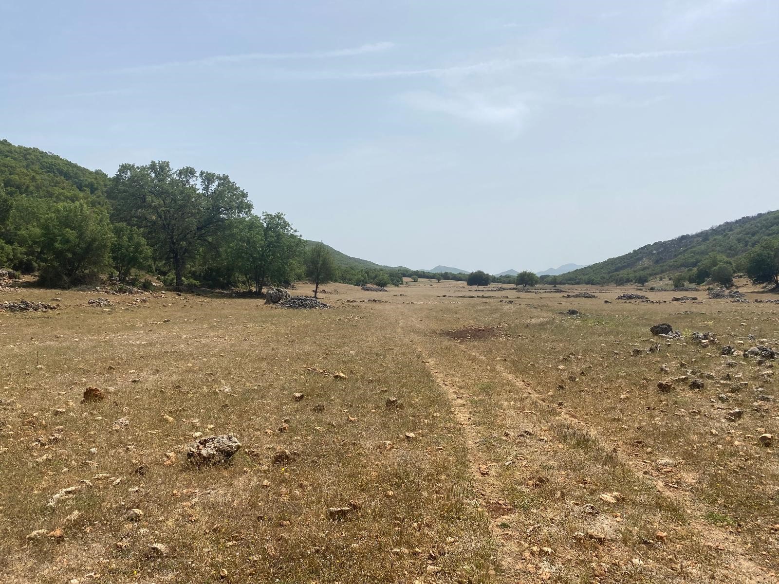 Gelişen bölgede yatırımlık tarla