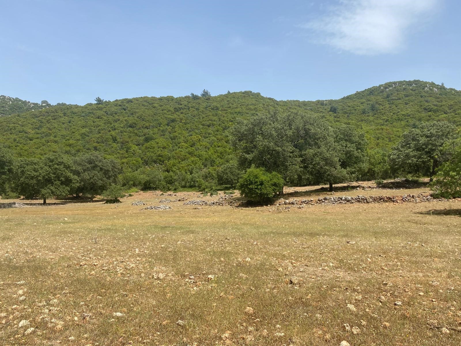 Gelişen bölgede yatırımlık tarla