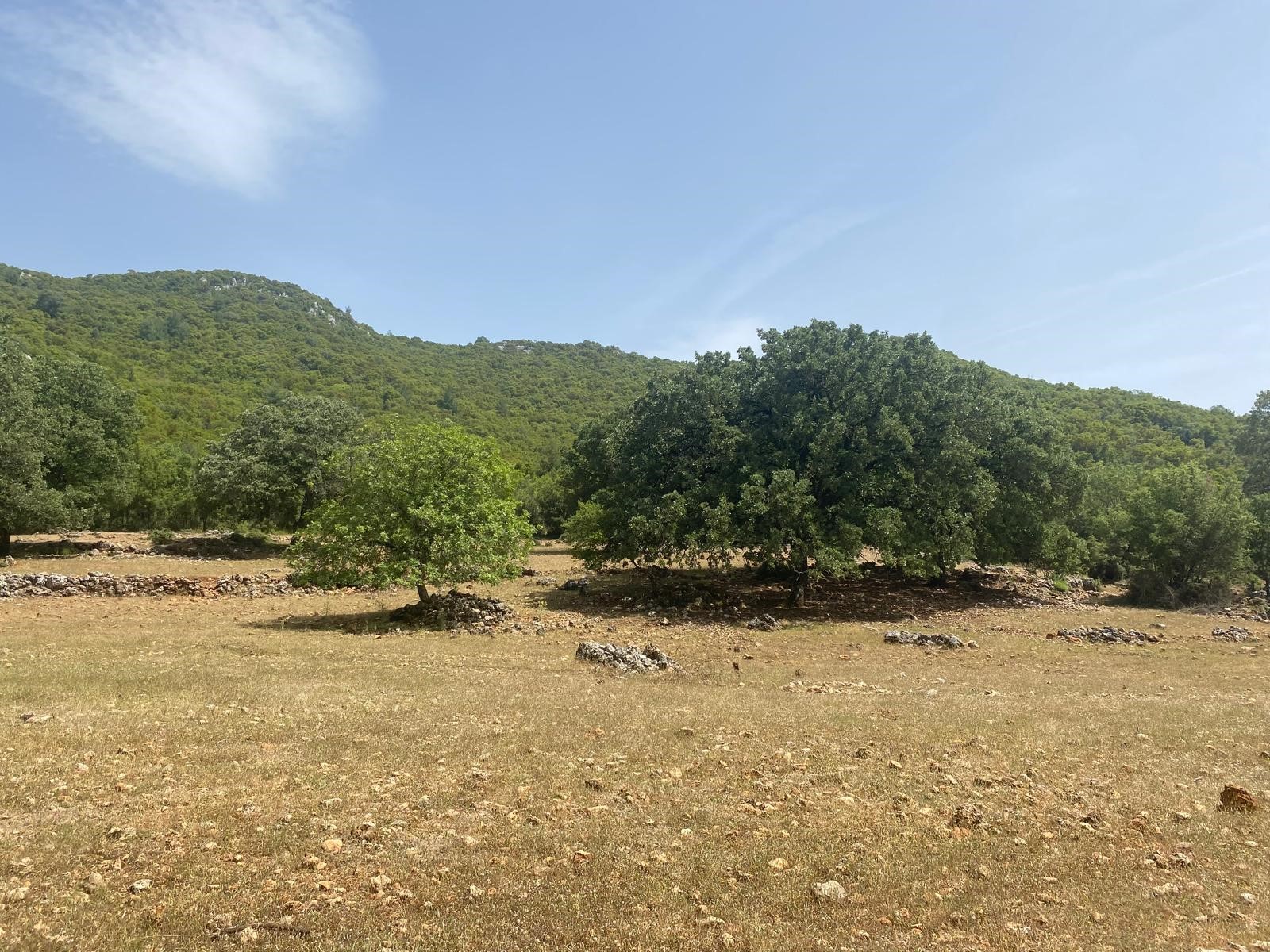 Gelişen bölgede yatırımlık tarla