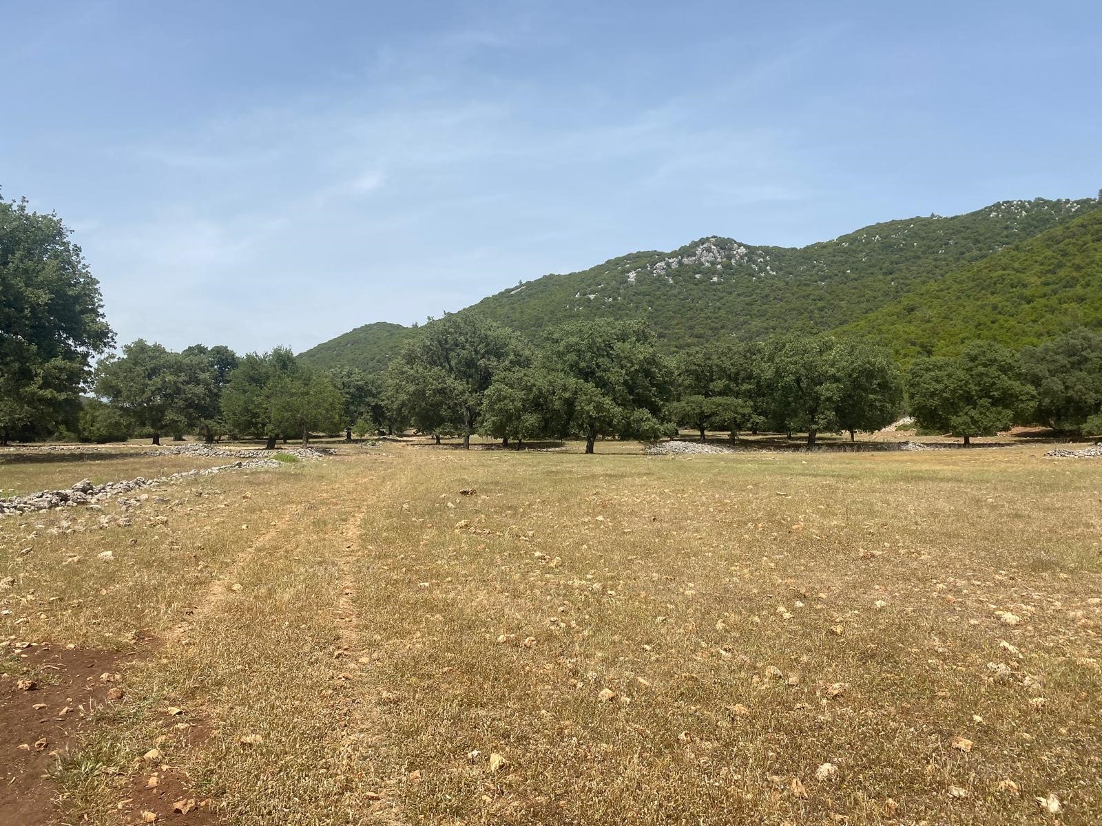 Gelişen bölgede yatırımlık tarla