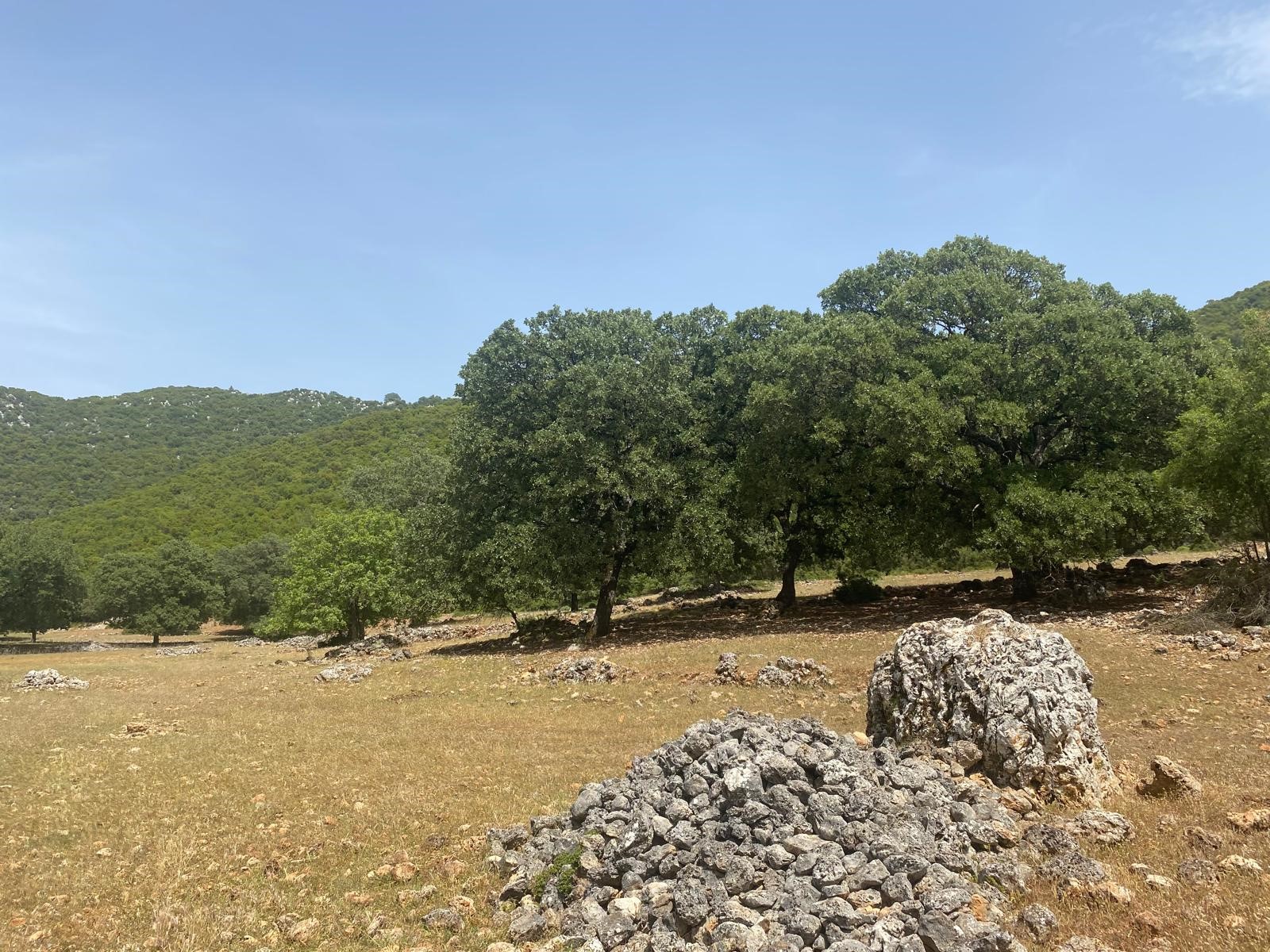 Gelişen bölgede yatırımlık tarla