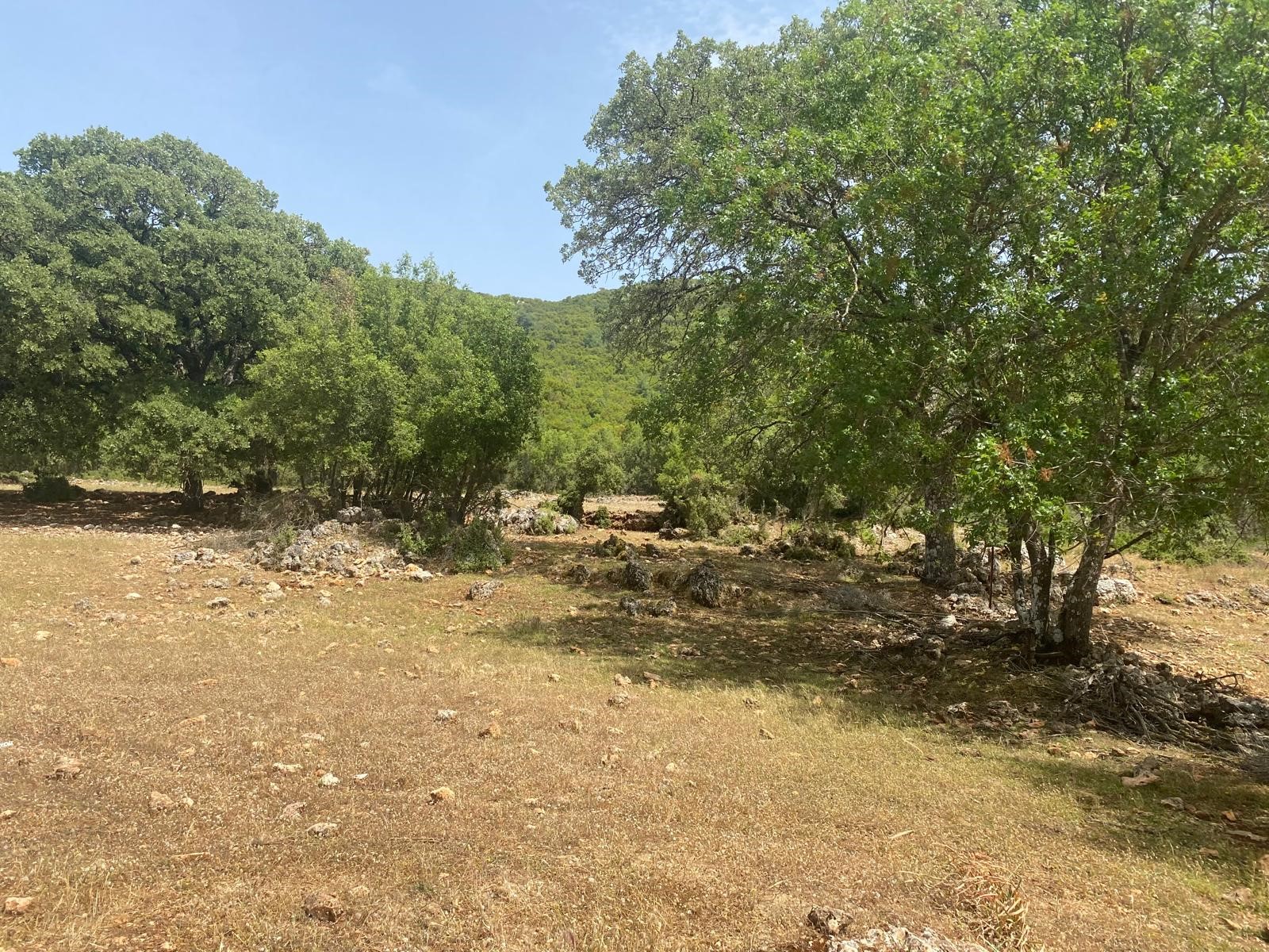 Gelişen bölgede yatırımlık tarla