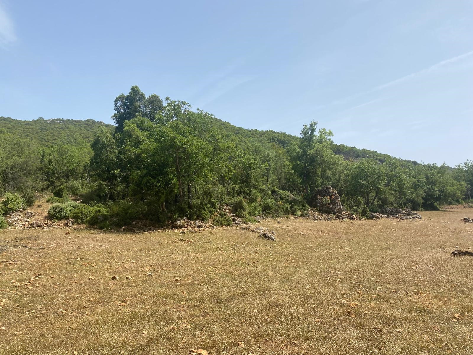 Gelişen bölgede yatırımlık tarla