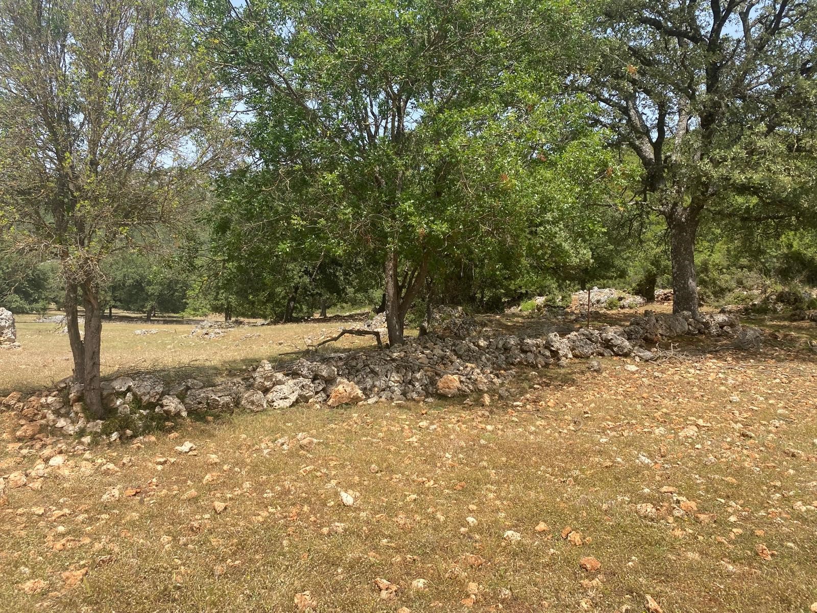 Gelişen bölgede yatırımlık tarla