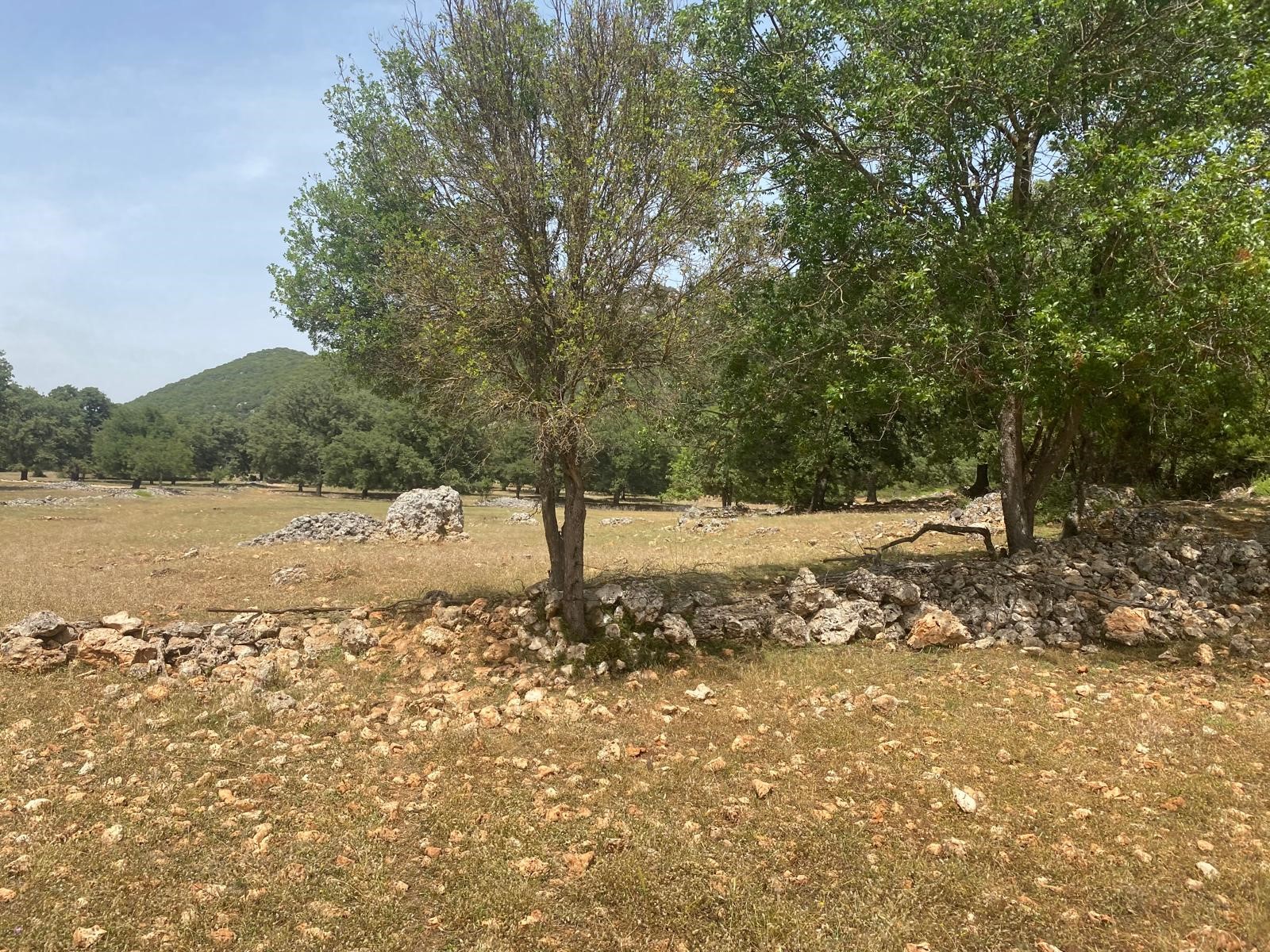 Gelişen bölgede yatırımlık tarla