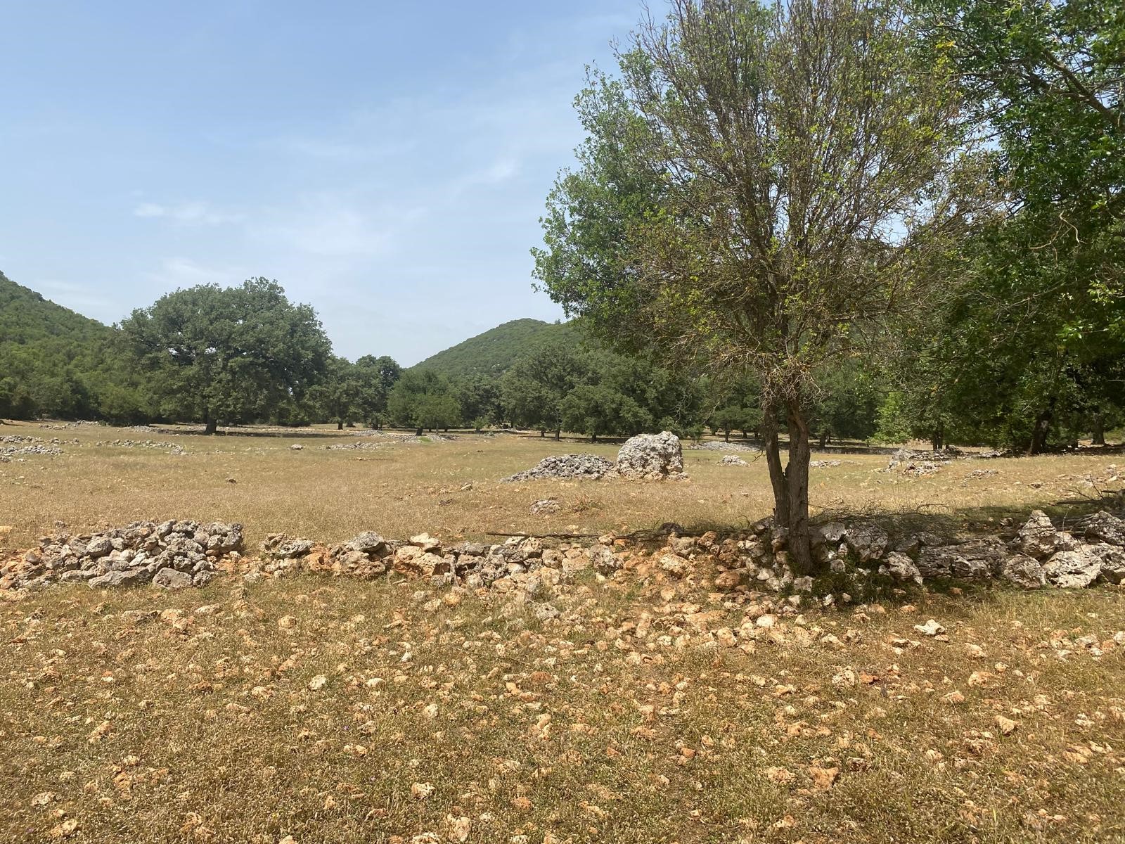 Gelişen bölgede yatırımlık tarla