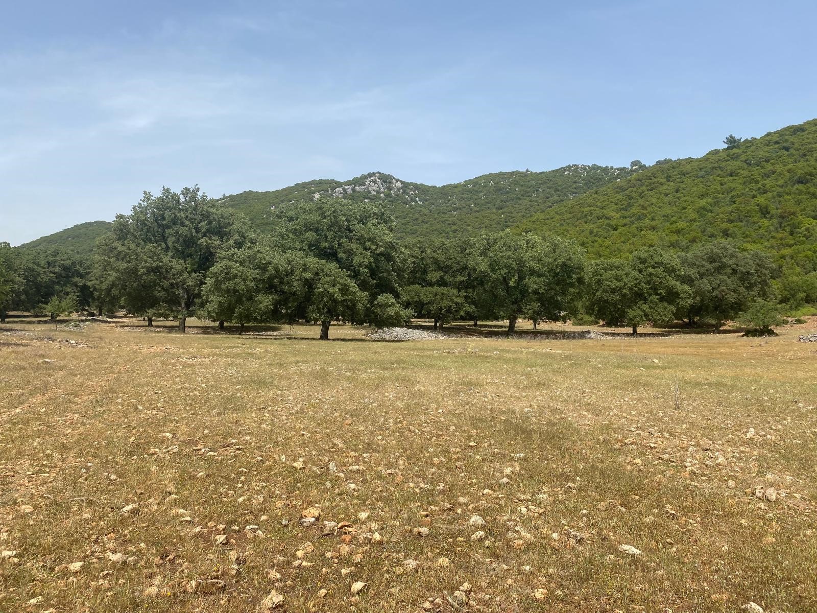 Gelişen bölgede yatırımlık tarla