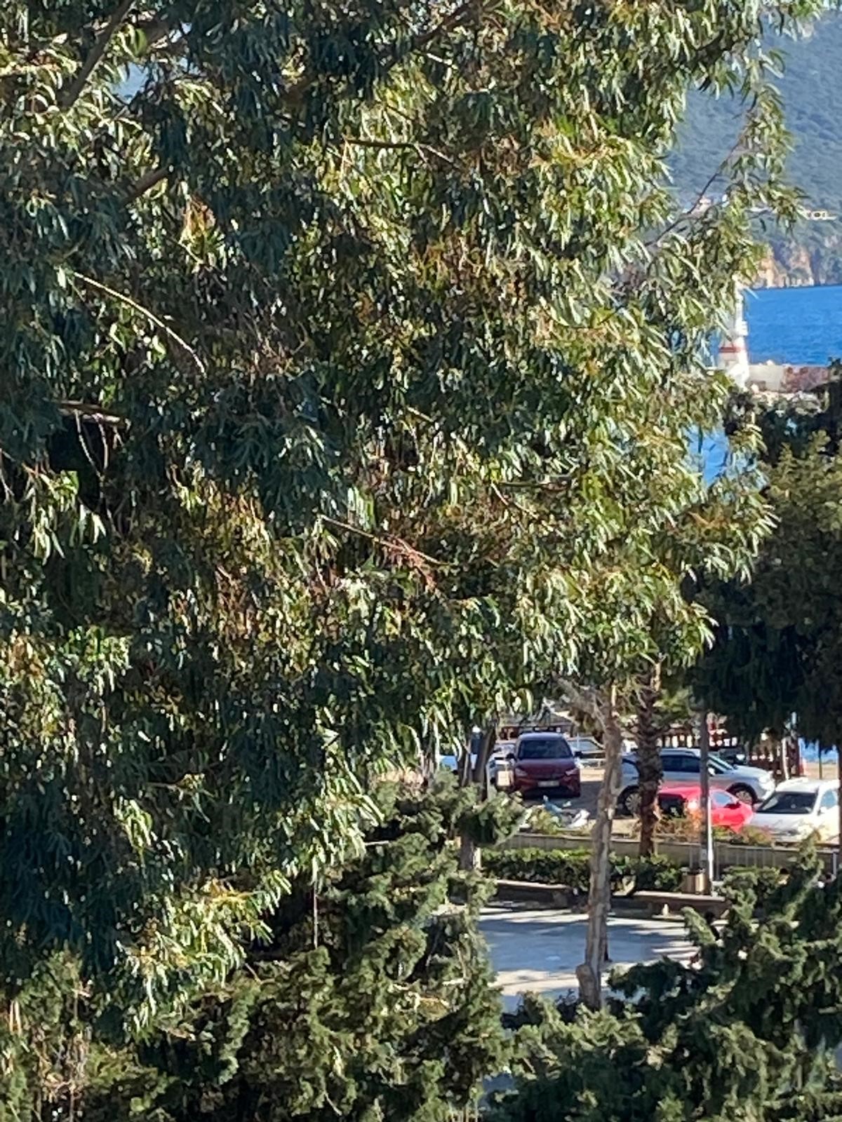 Kaş'ın merkezinde emsalsiz fırsat!!!