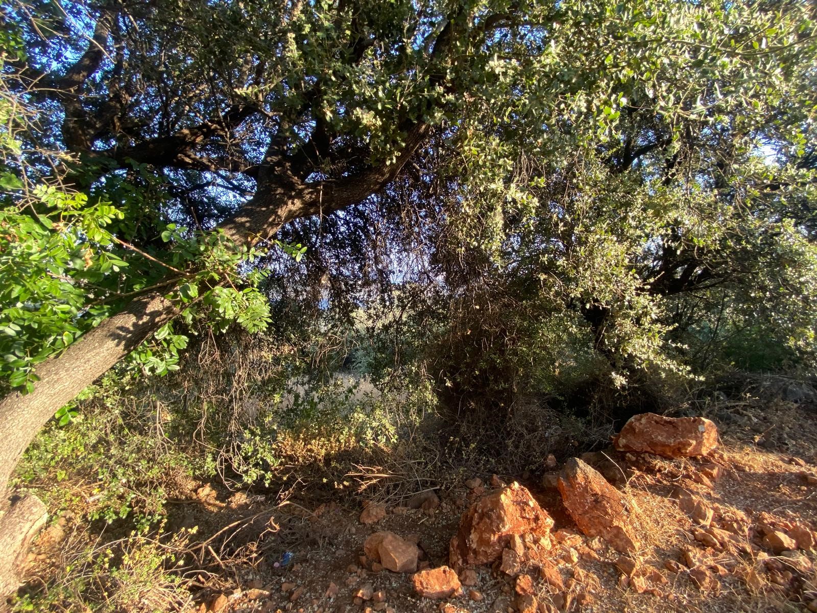 Gökseki de Full deniz manzaralı arazi