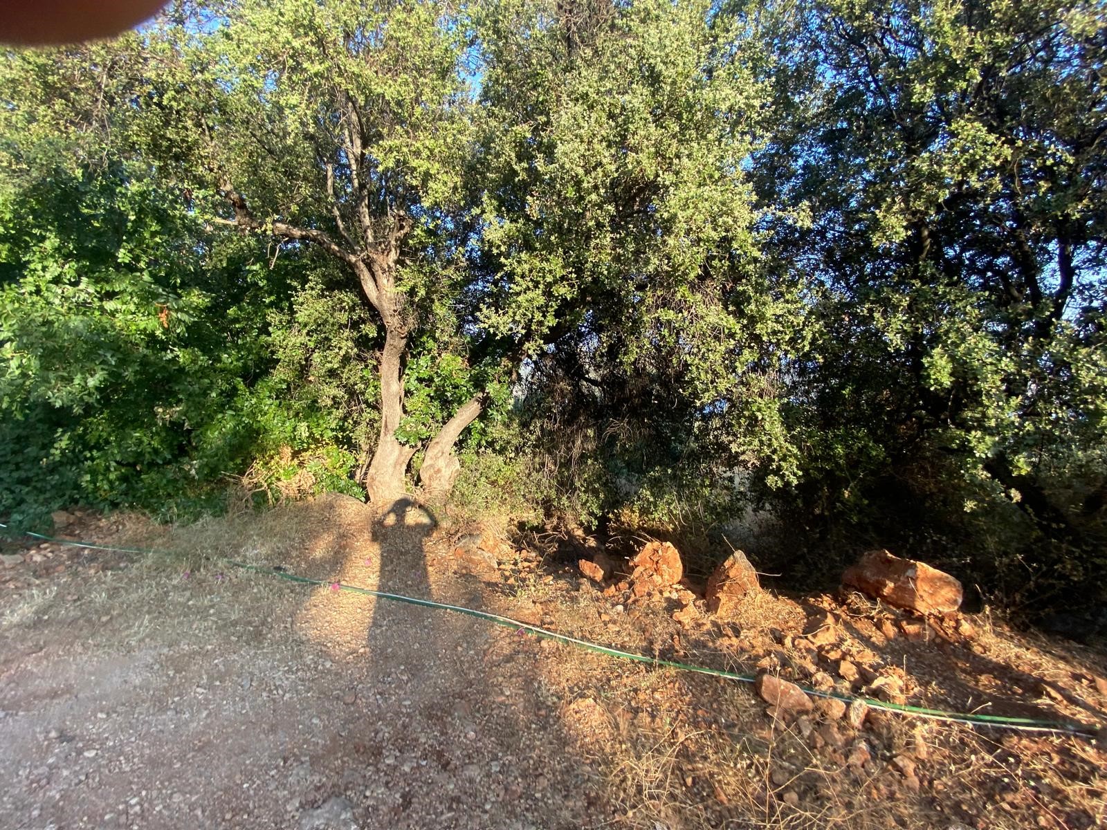 Gökseki de Full deniz manzaralı arazi