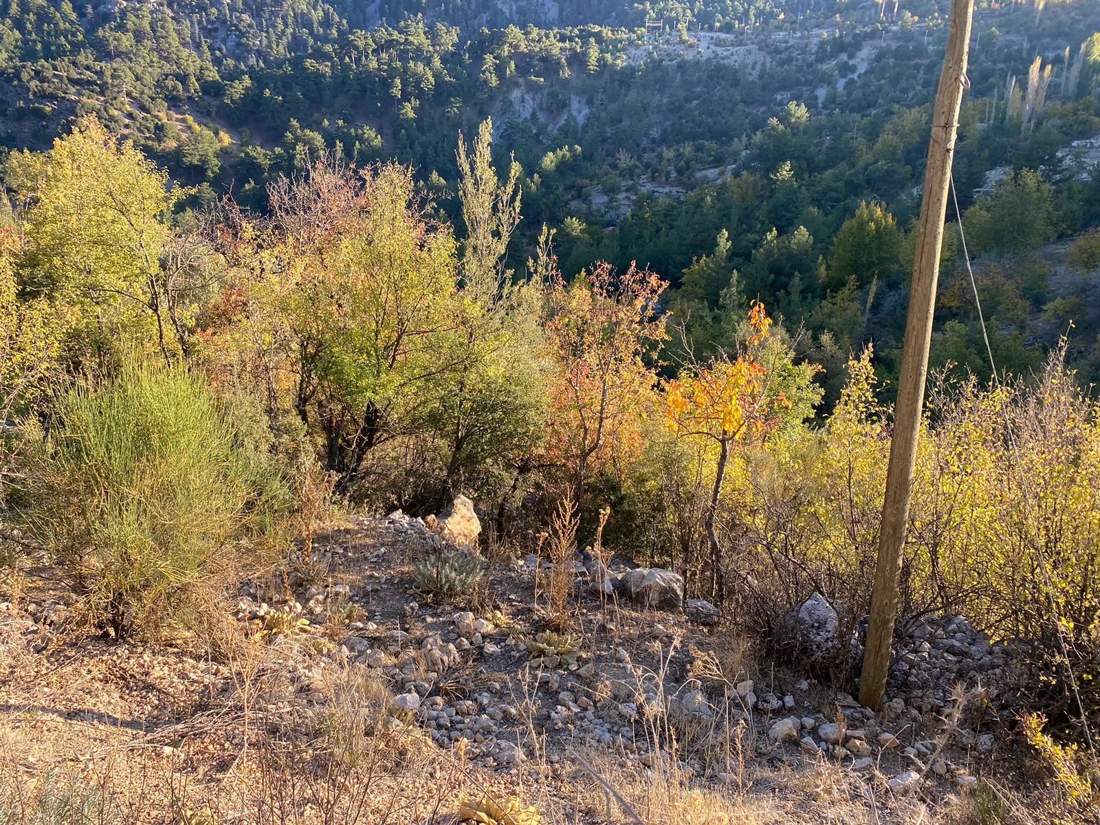 Kaş Beldibi'nde Doğa Manzaralı Satılık Tarla (3735 m²)