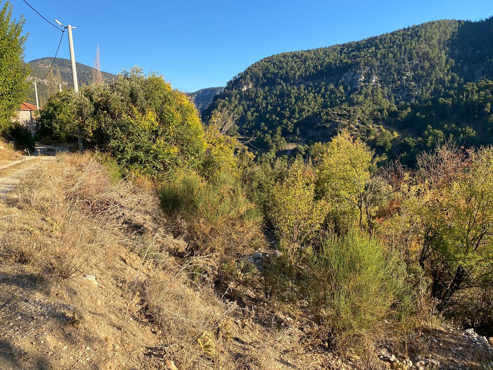 Kaş Beldibi'nde Doğa Manzaralı Satılık Tarla (3735 m²)