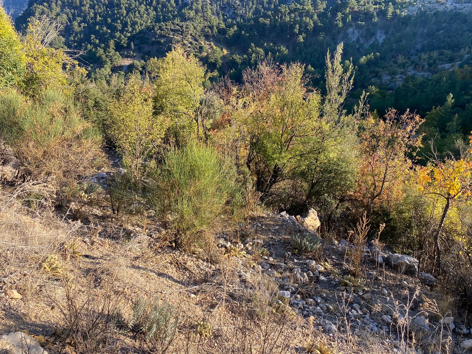 Kaş Beldibi'nde Doğa Manzaralı Satılık Tarla (3735 m²)