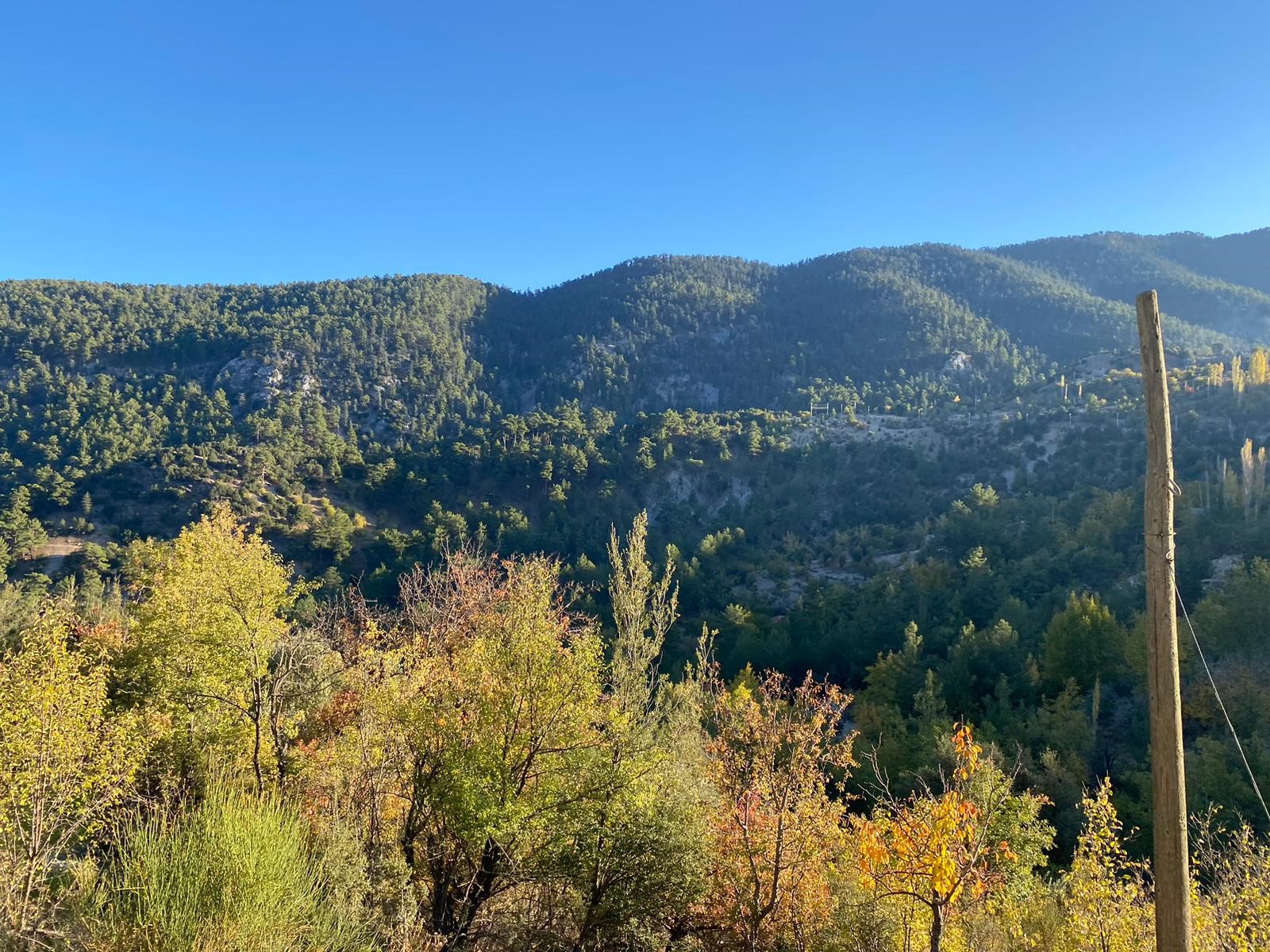 Kaş Beldibi'nde Doğa Manzaralı Satılık Tarla (3735 m²)