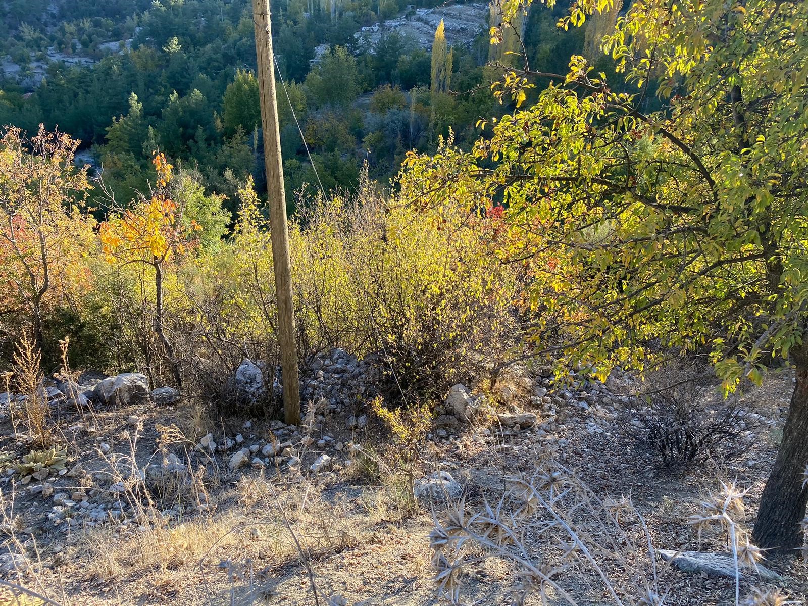 Kaş Beldibi'nde Doğa Manzaralı Satılık Tarla (3735 m²)