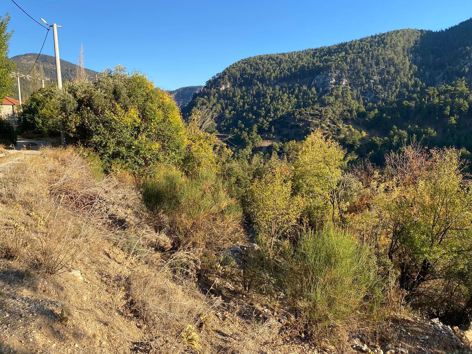 Kaş Beldibi'nde Doğa Manzaralı Satılık Tarla (3735 m²)
