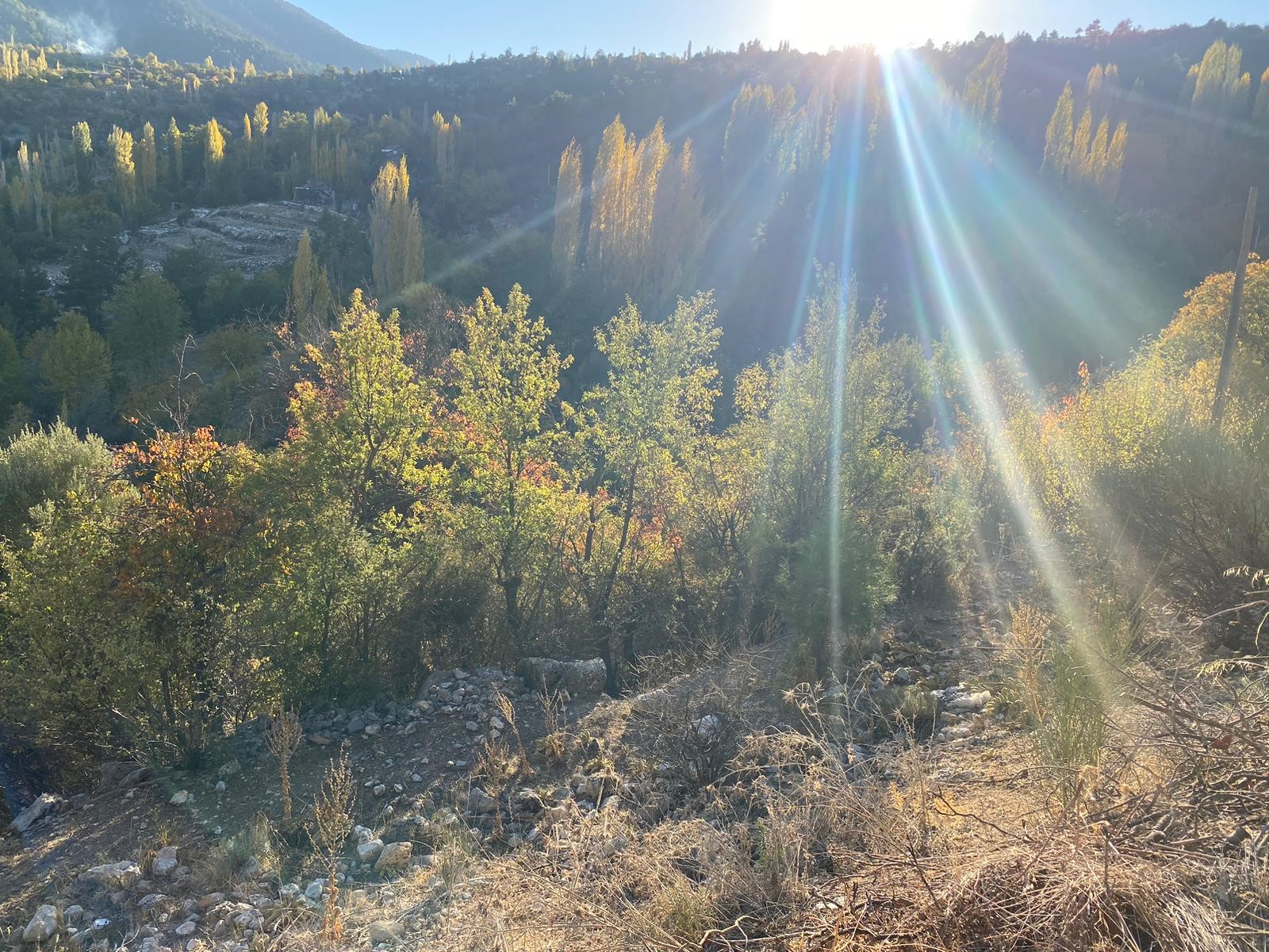 Kaş Beldibi'nde Doğa Manzaralı Satılık Tarla (3735 m²)