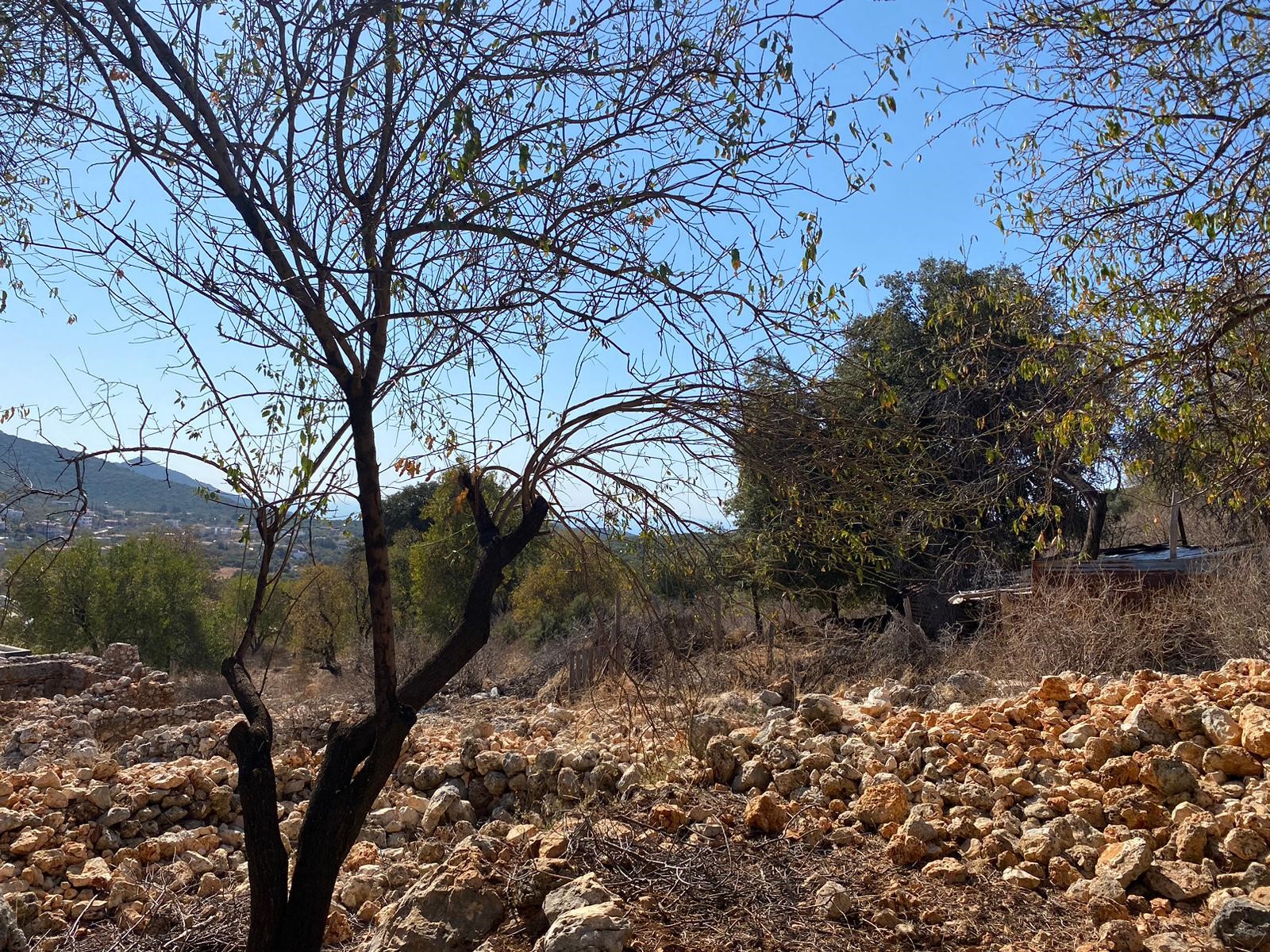 Kaşın gözde köylerinden Bayındır Asar mevkiinde deniz manzaralı arsa