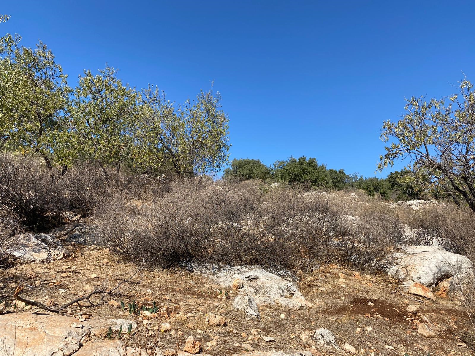 Kaşın gözde köylerinden Bayındır Asar mevkiinde deniz manzaralı arsa